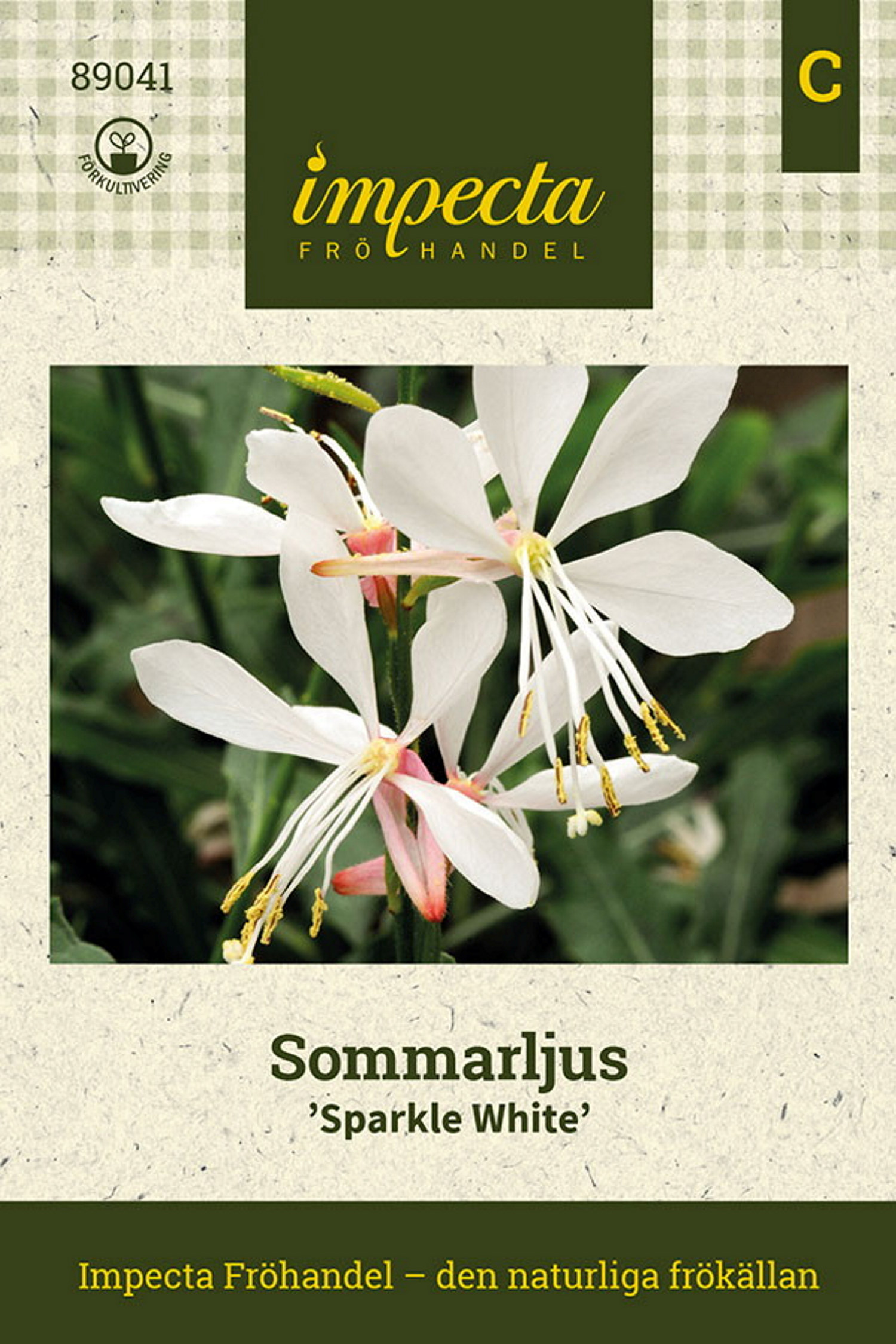 Sommarljus 'Sparkle White'