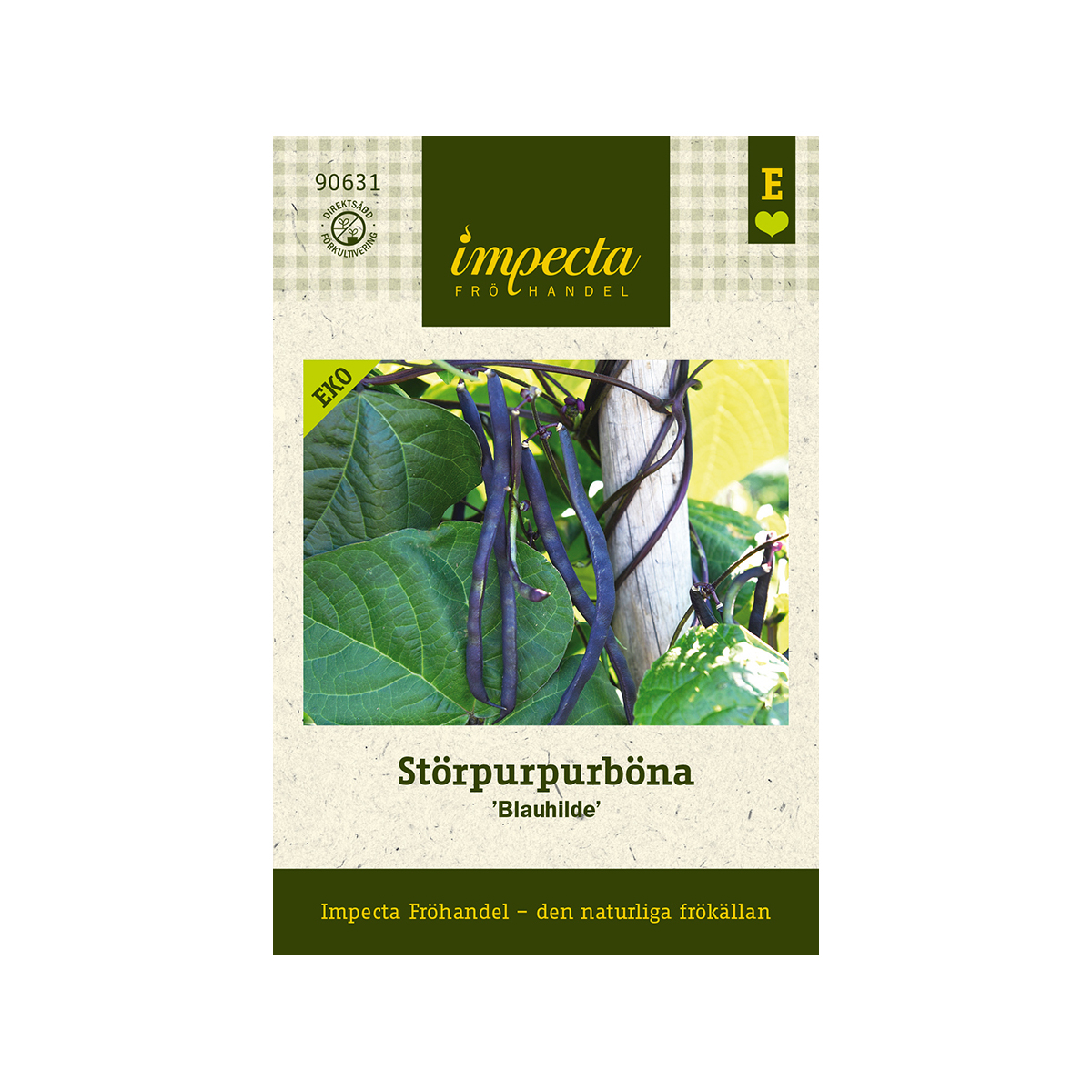 Störpurpurböna 'Blauhilde'