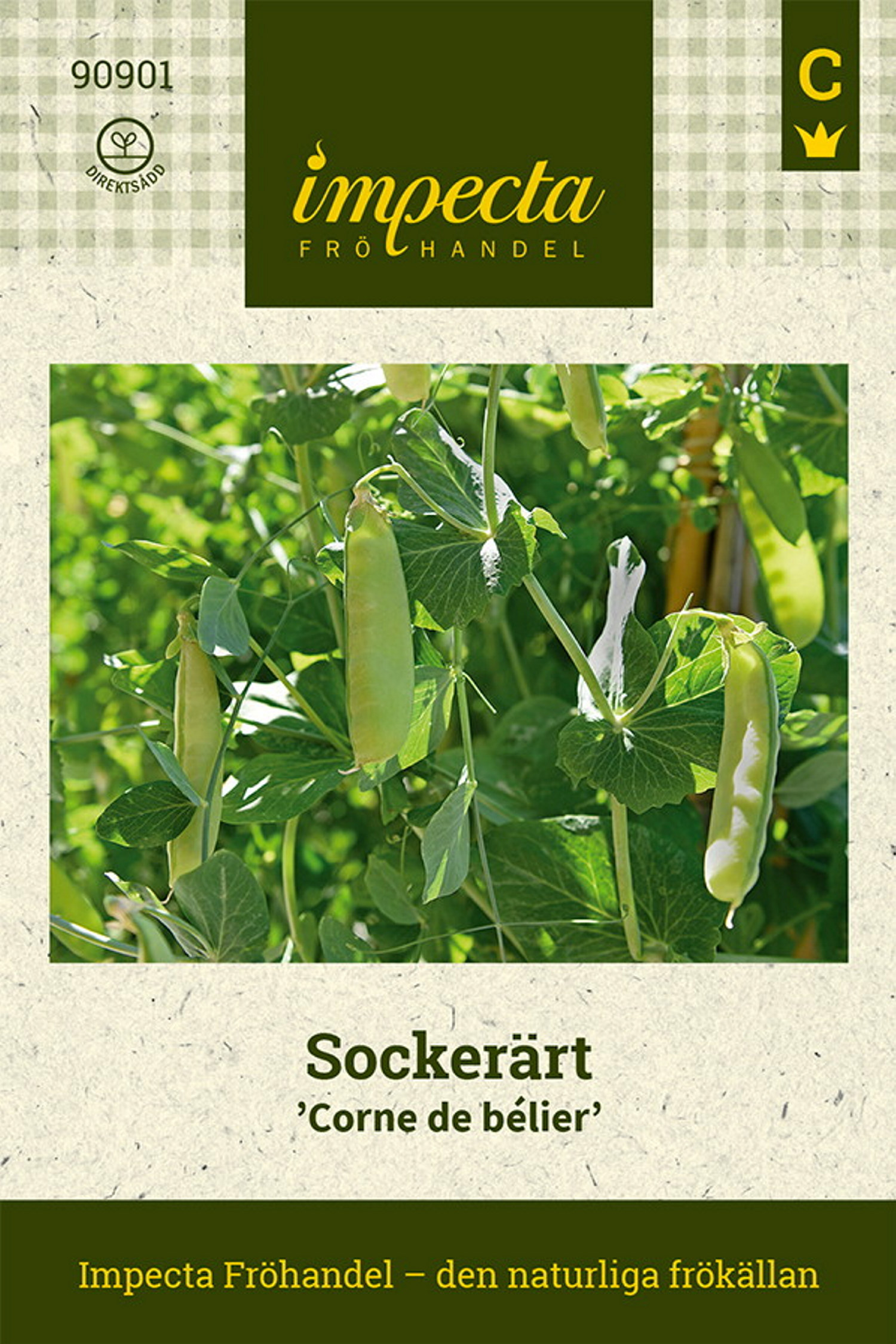 Sockerärt 'Corne de bélier'