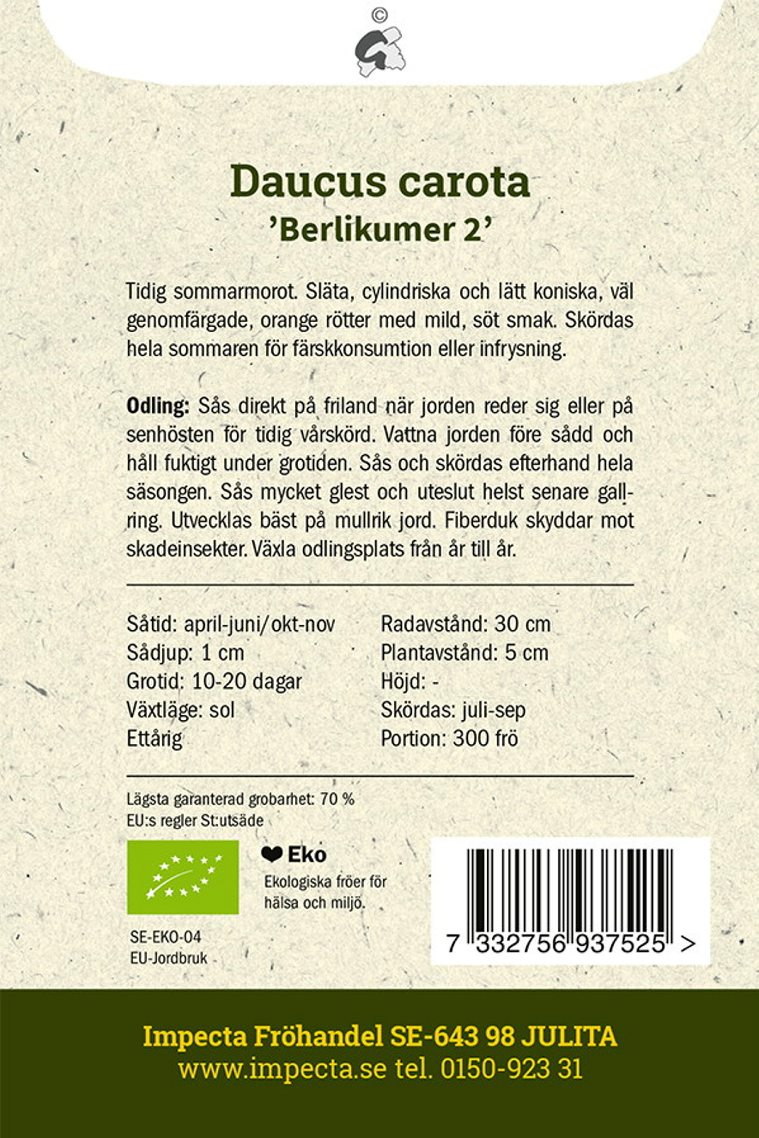 Sommarmorot 'Berlicum 2'