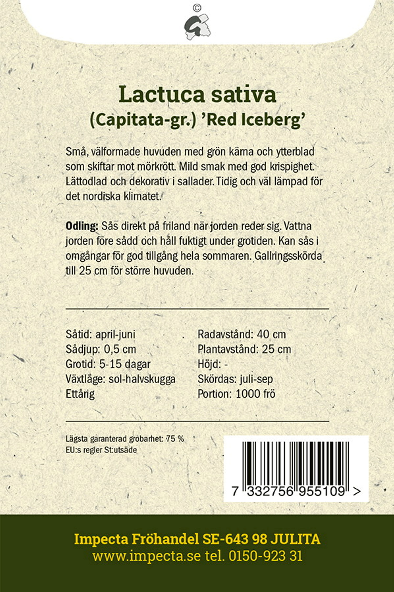Isbergssallat 'Red Iceberg'