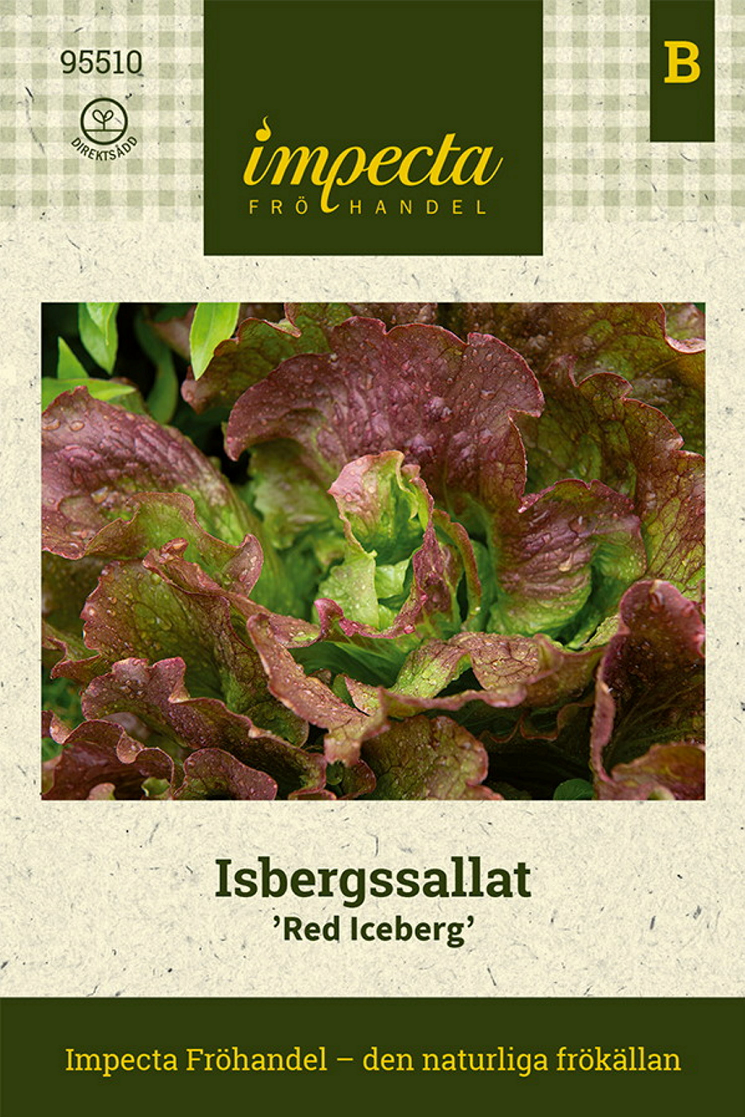 Isbergssallat 'Red Iceberg'