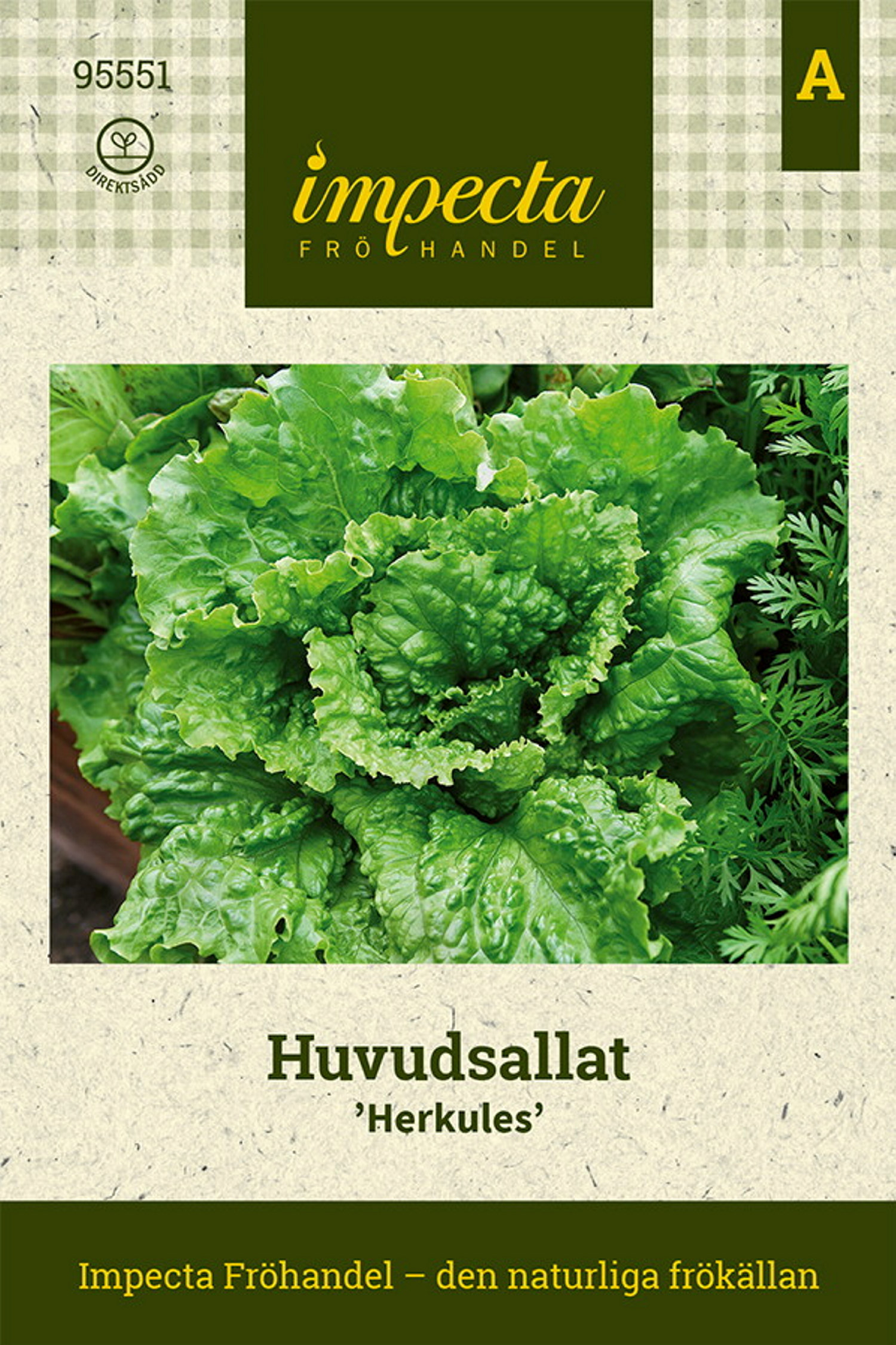 Huvudsallat 'Herkules'