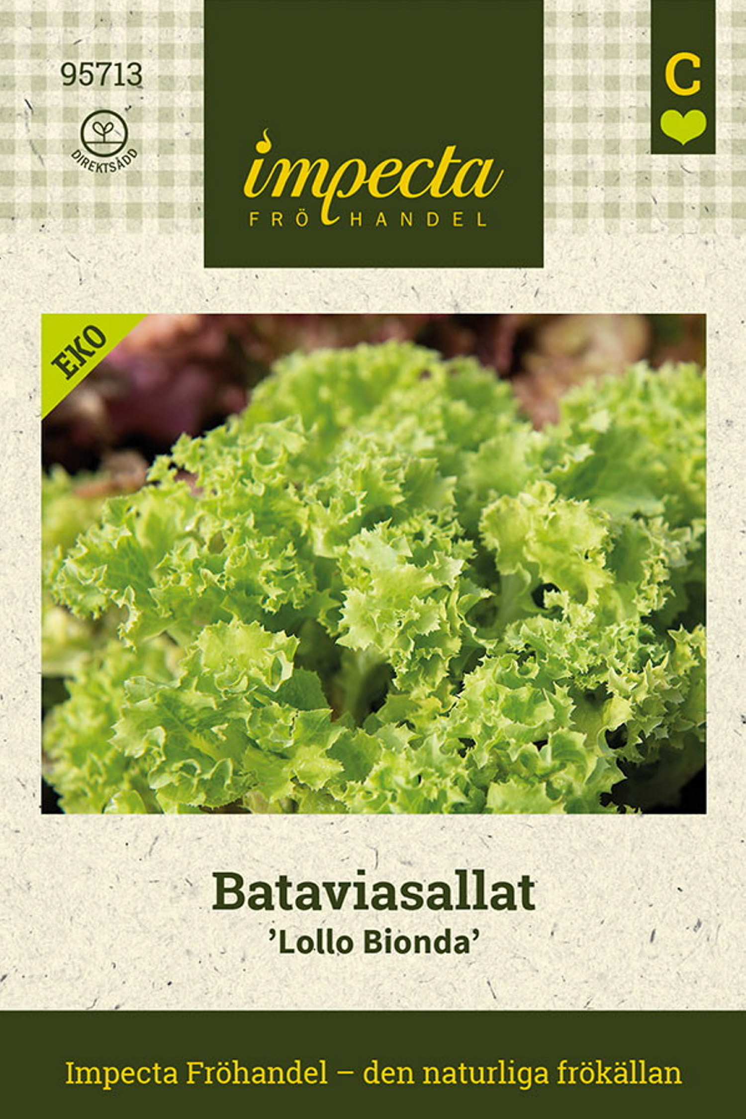 Bataviasallat 'Lollo Bionda'