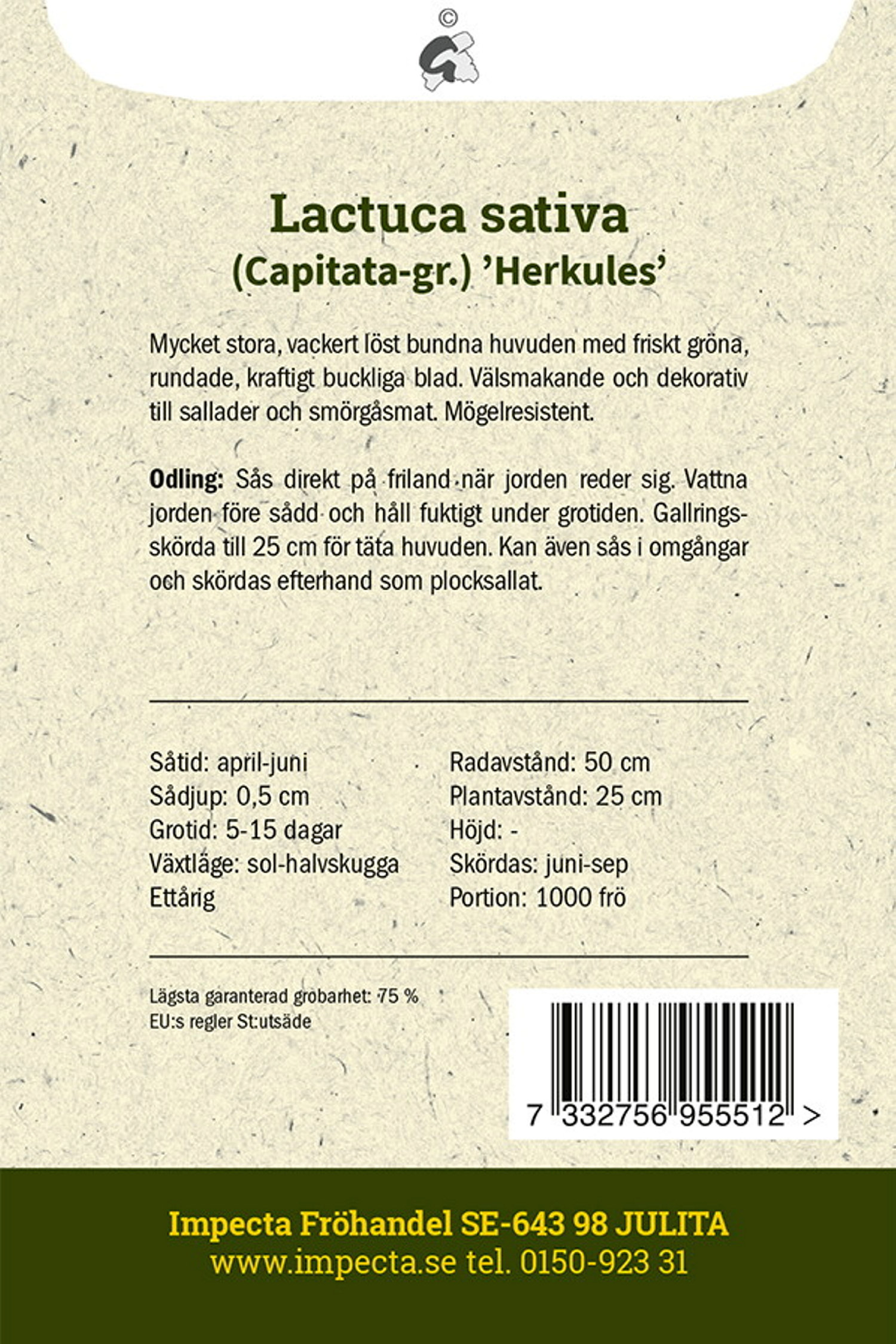 Huvudsallat 'Herkules'