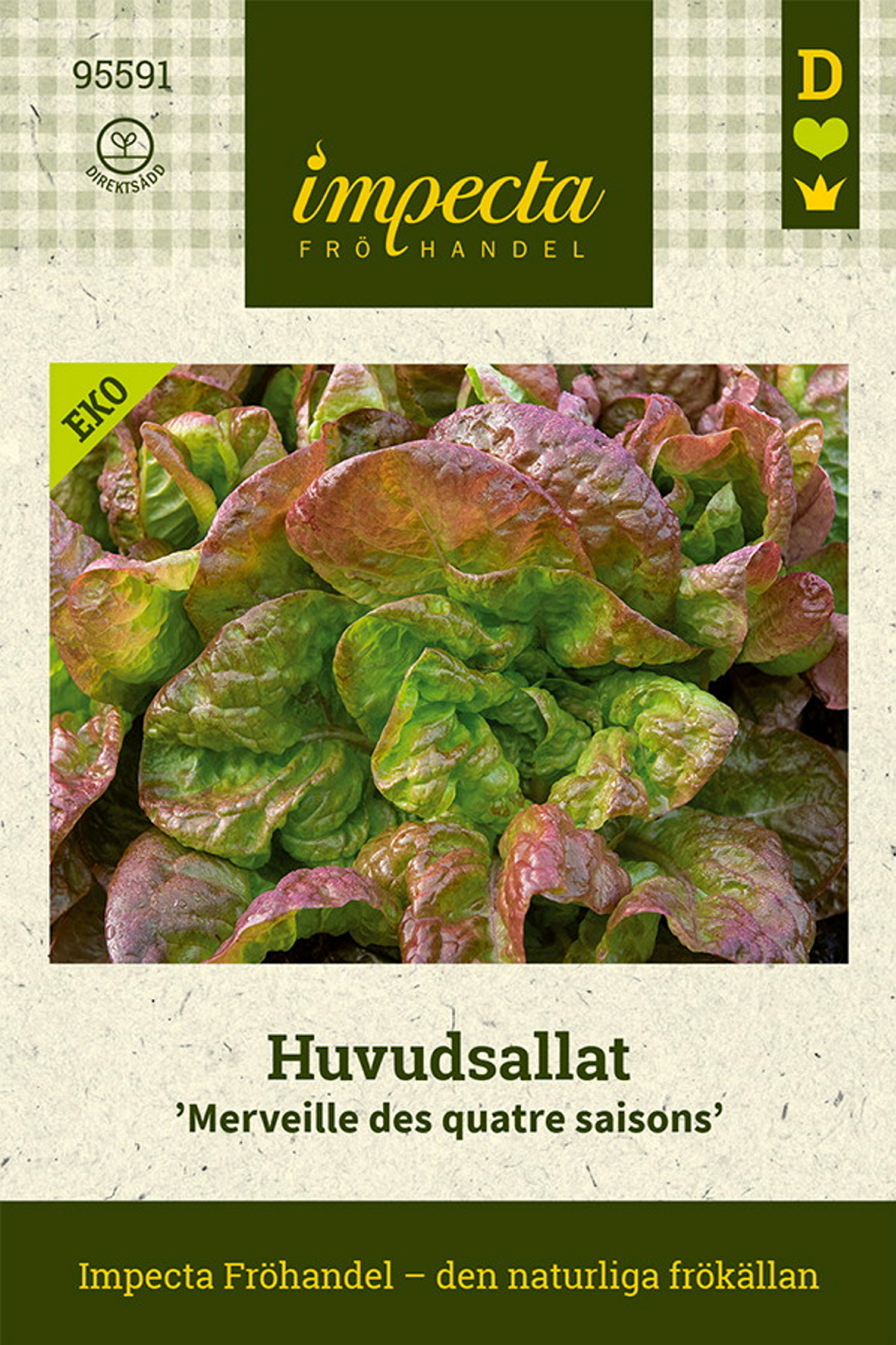 Huvudsallat 'Merveille Des Quatre Saisons'