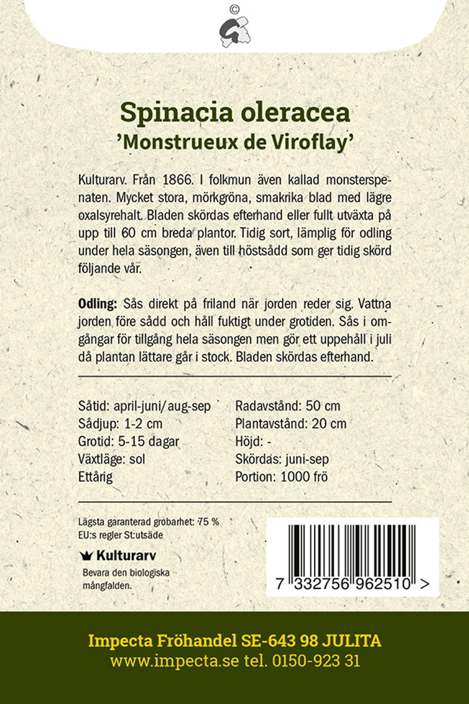 Spinacia oleracea 'Monstrueux de Viroflay'