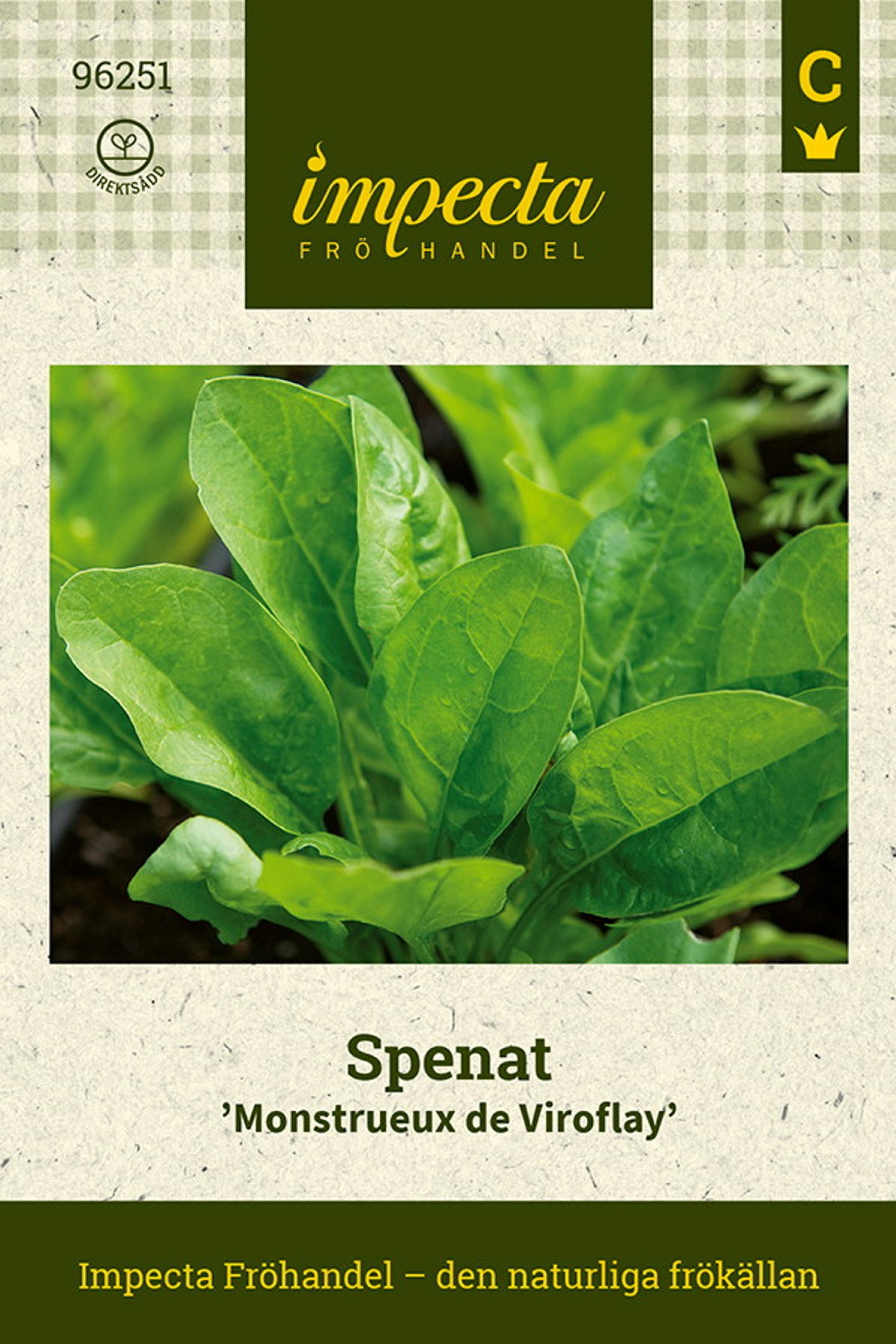 Spinacia oleracea 'Monstrueux de Viroflay'