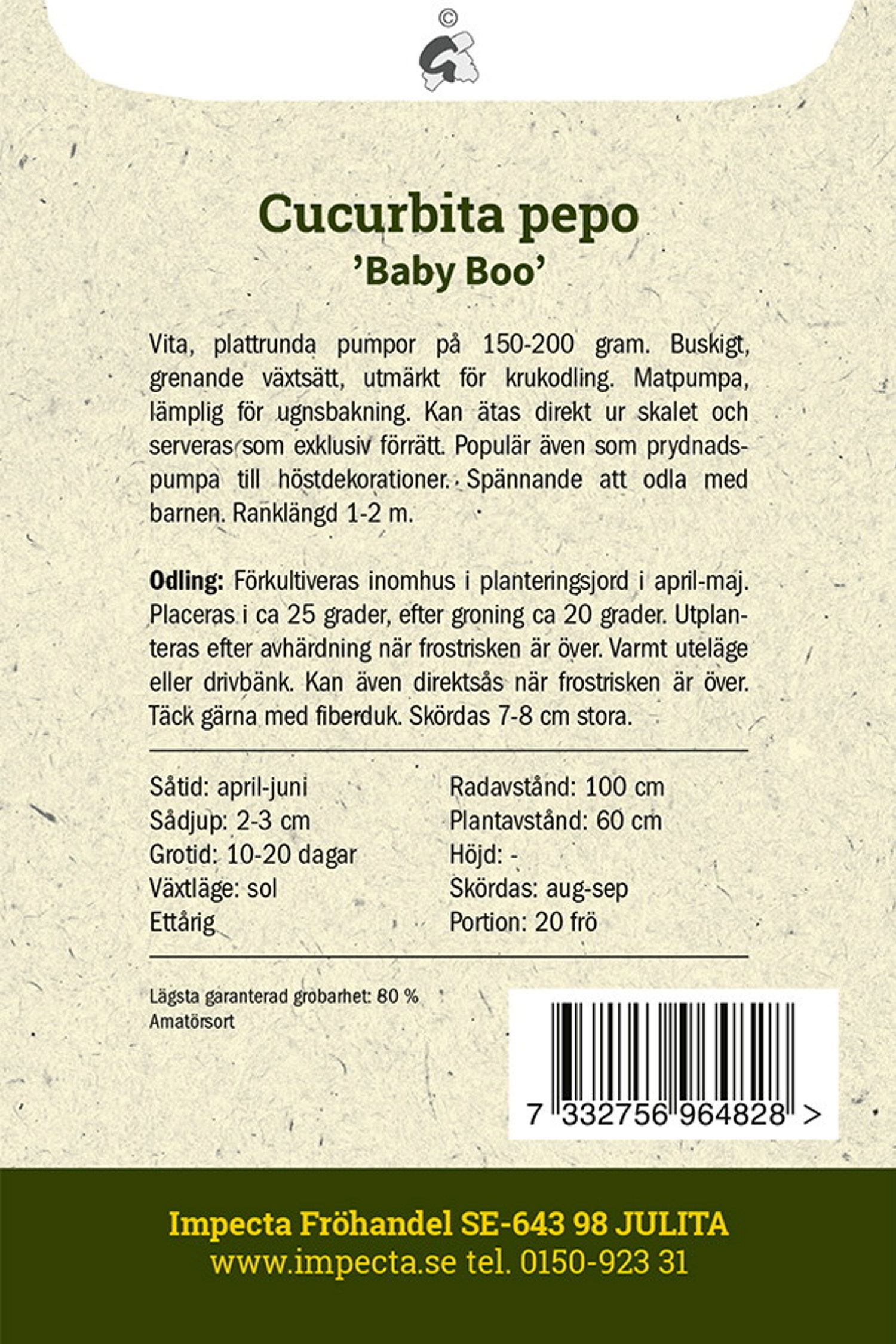 Prydnadspumpa 'Baby Boo'