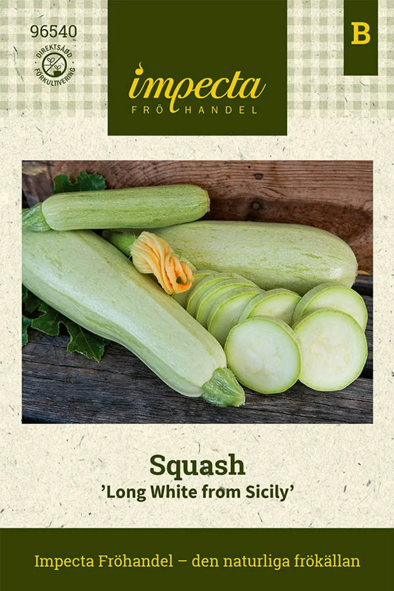 Squash Long White From Sicily