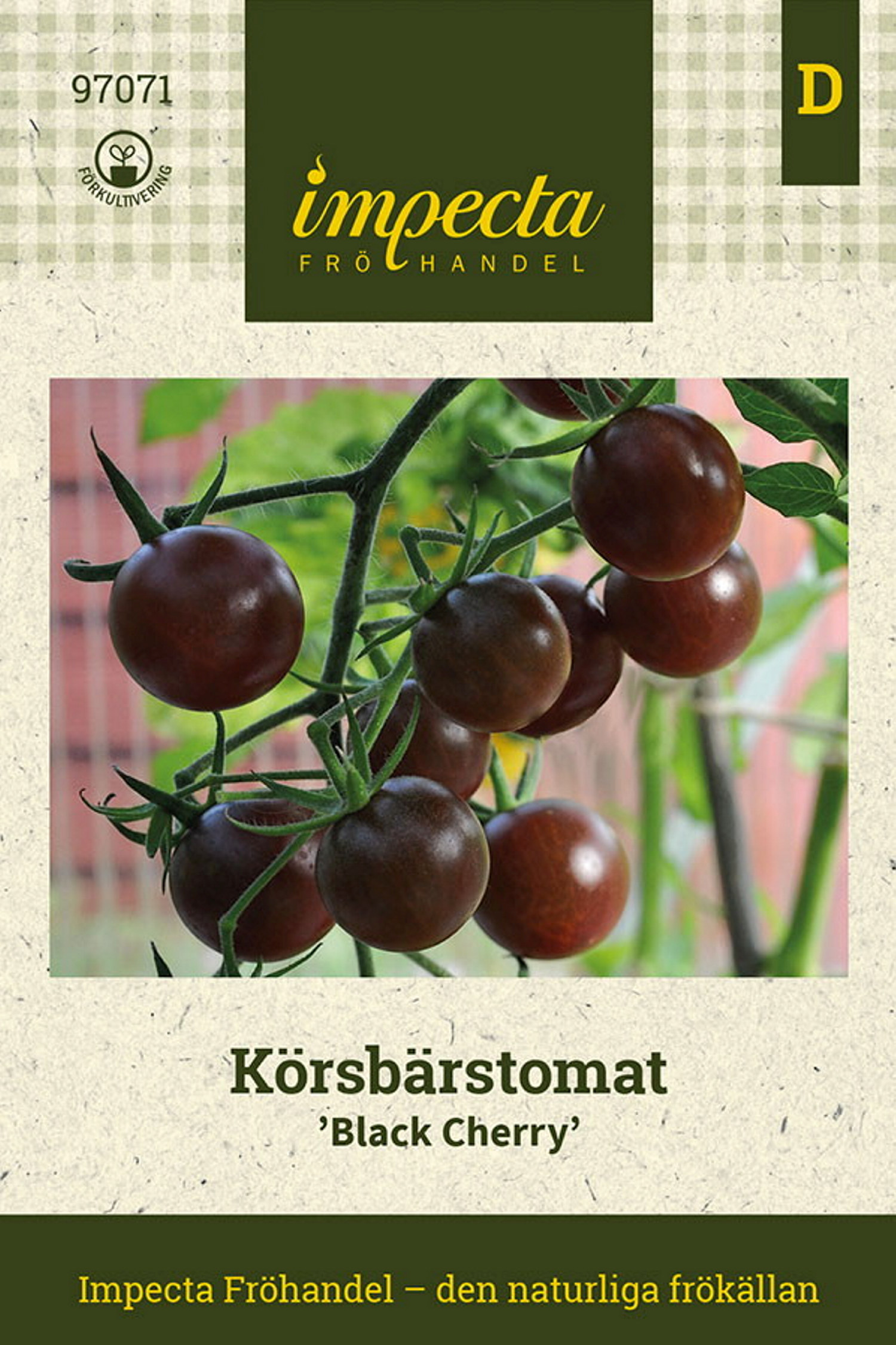 Körsbärstomat 'Black Cherry'