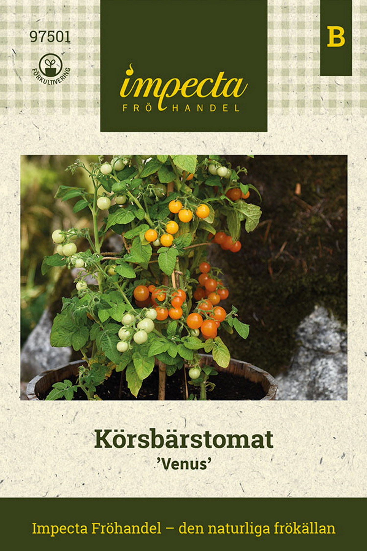 Körsbärstomat 'Venus'