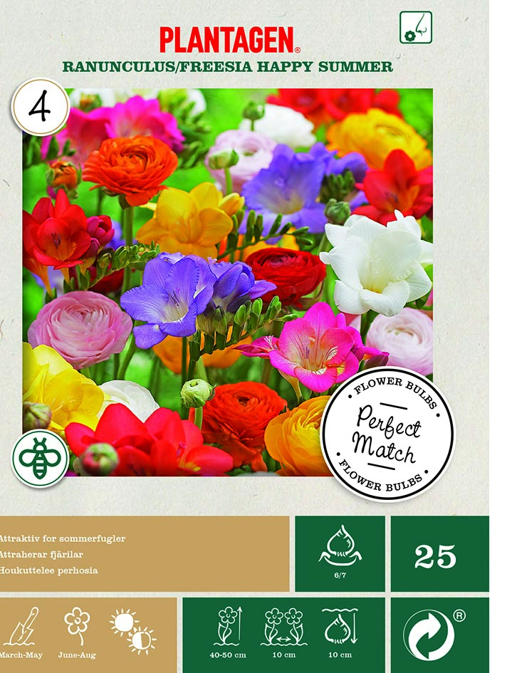 Ranunkel och freesia mix happy summer