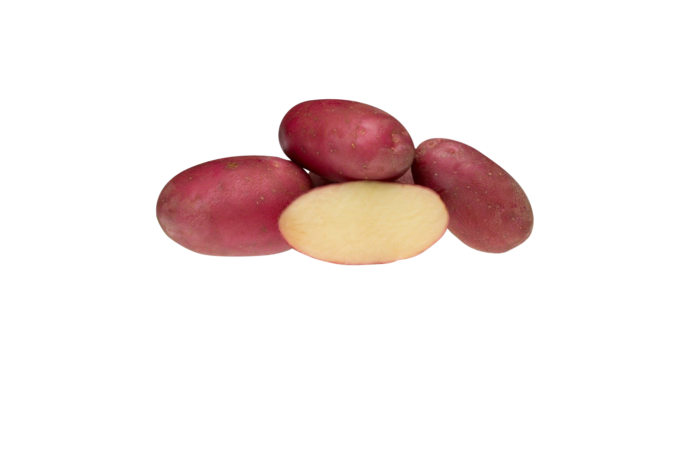 Sättpotatis 'Evolution'