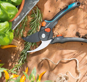 Pruning-shears