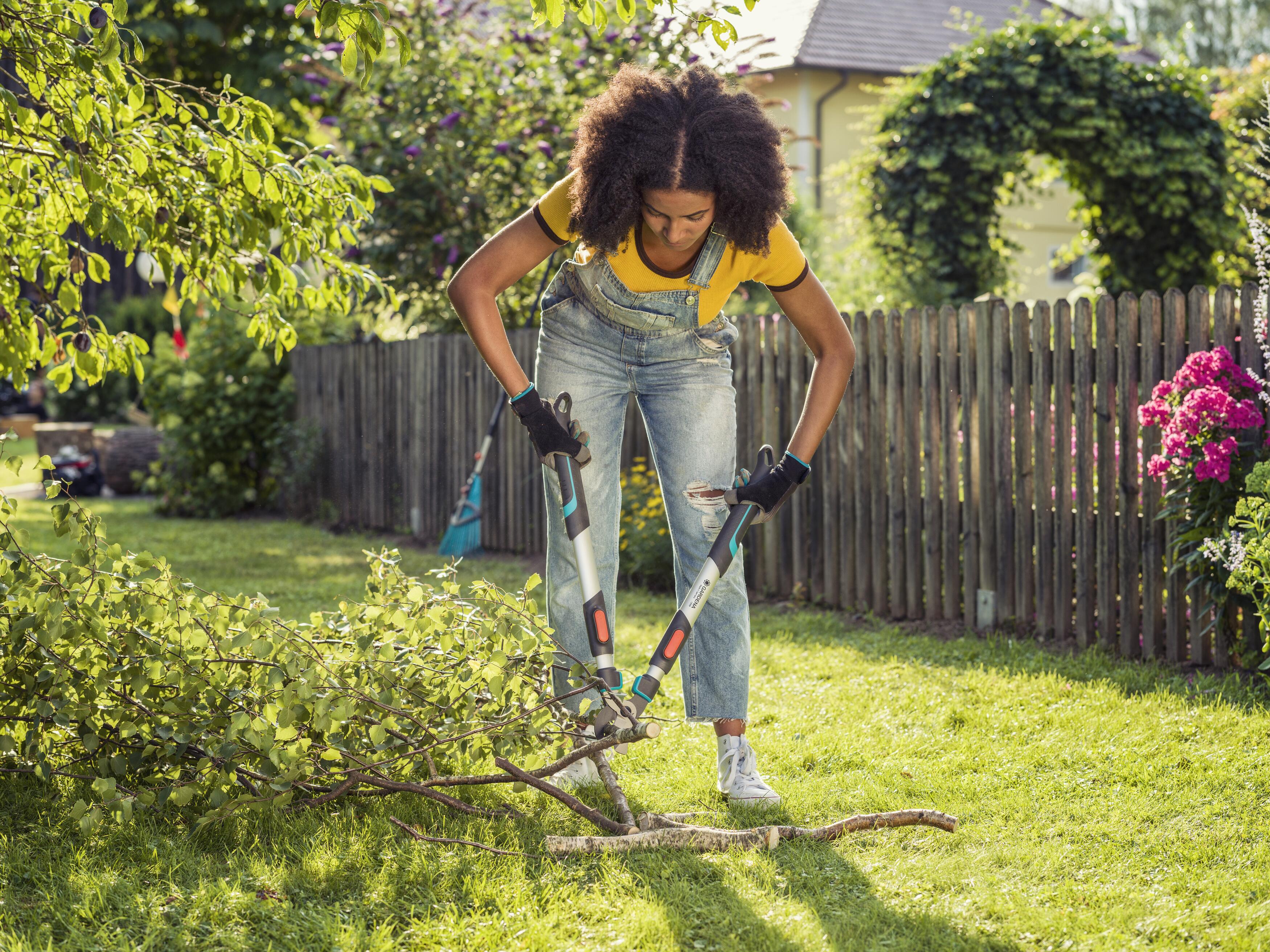 Lopping shears Telecut