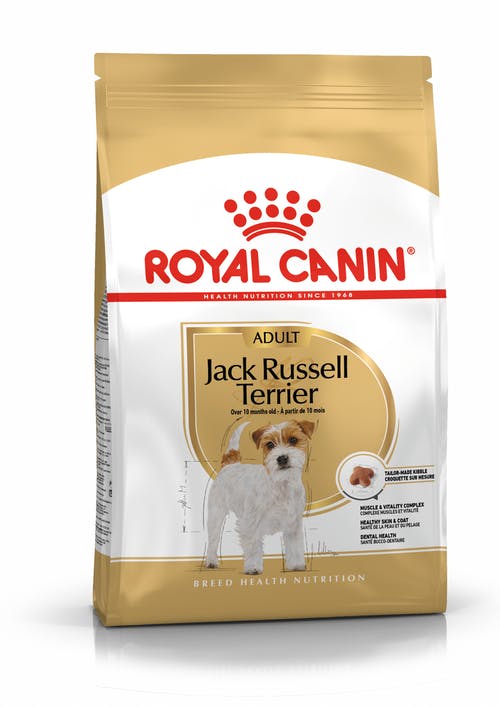 Royal Canin Jack russel Adult