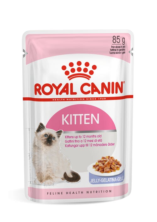 Kitten Jelly 12x85g