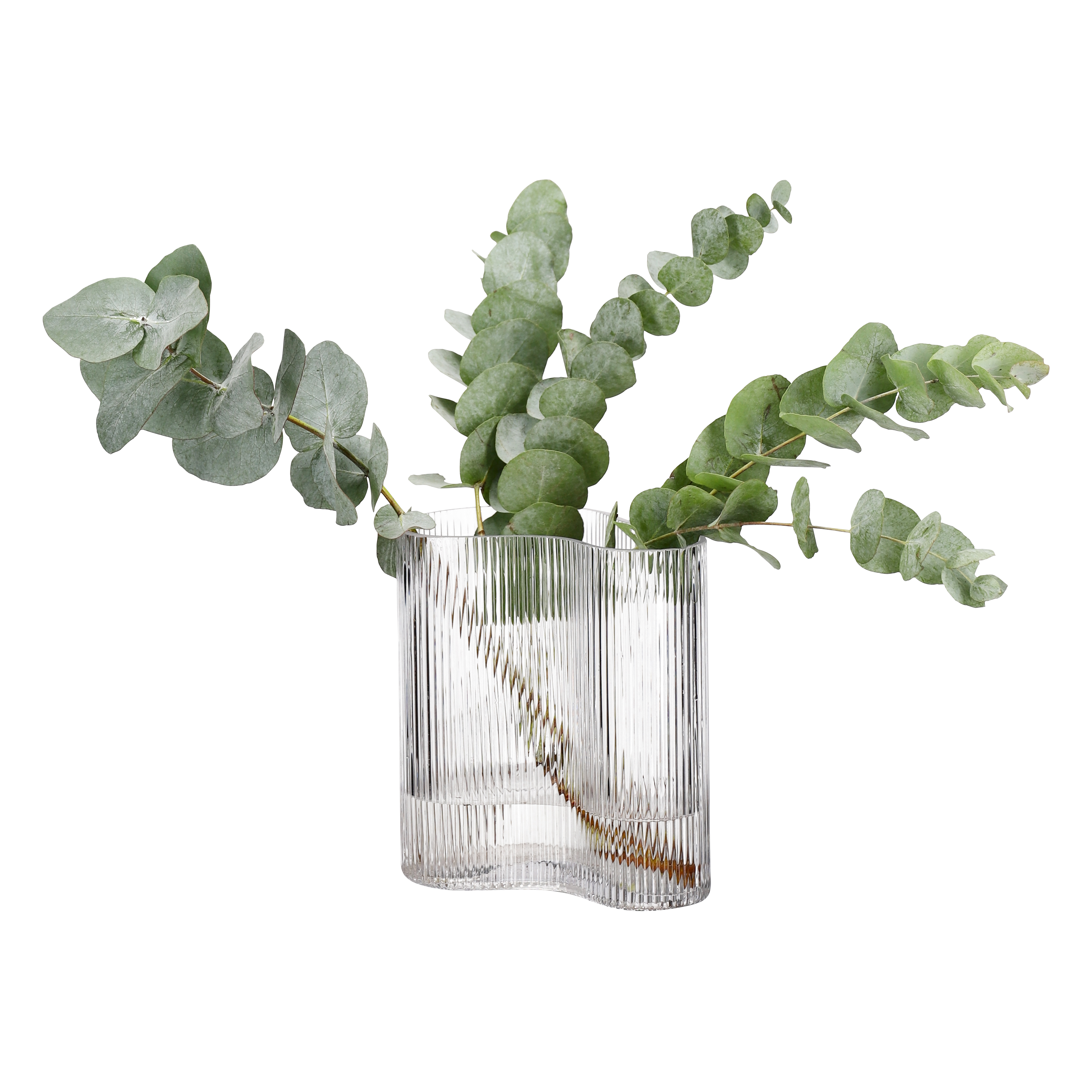Kerstin vase H20xL19 transparent