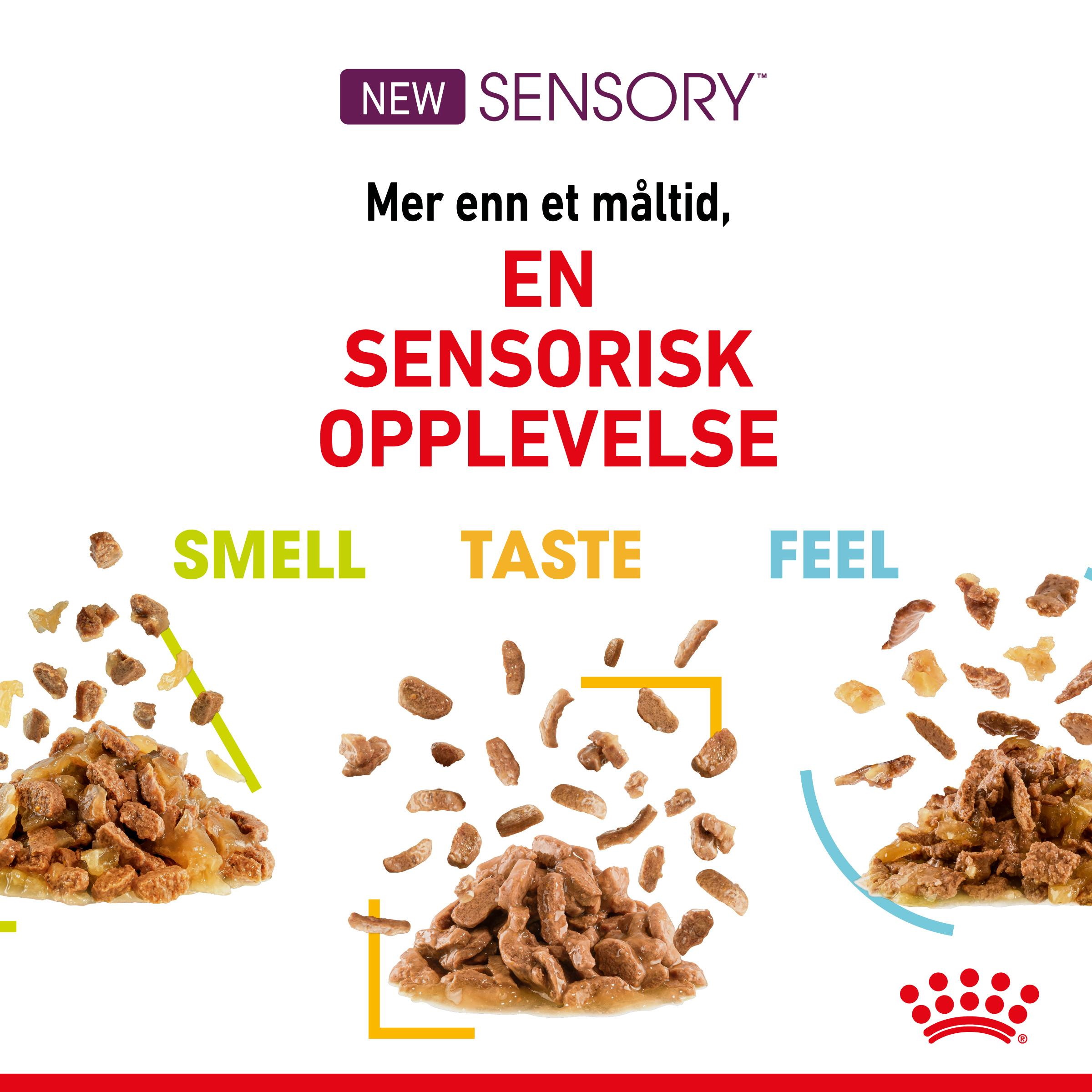 Royal Canin Sensory Gravy Adult