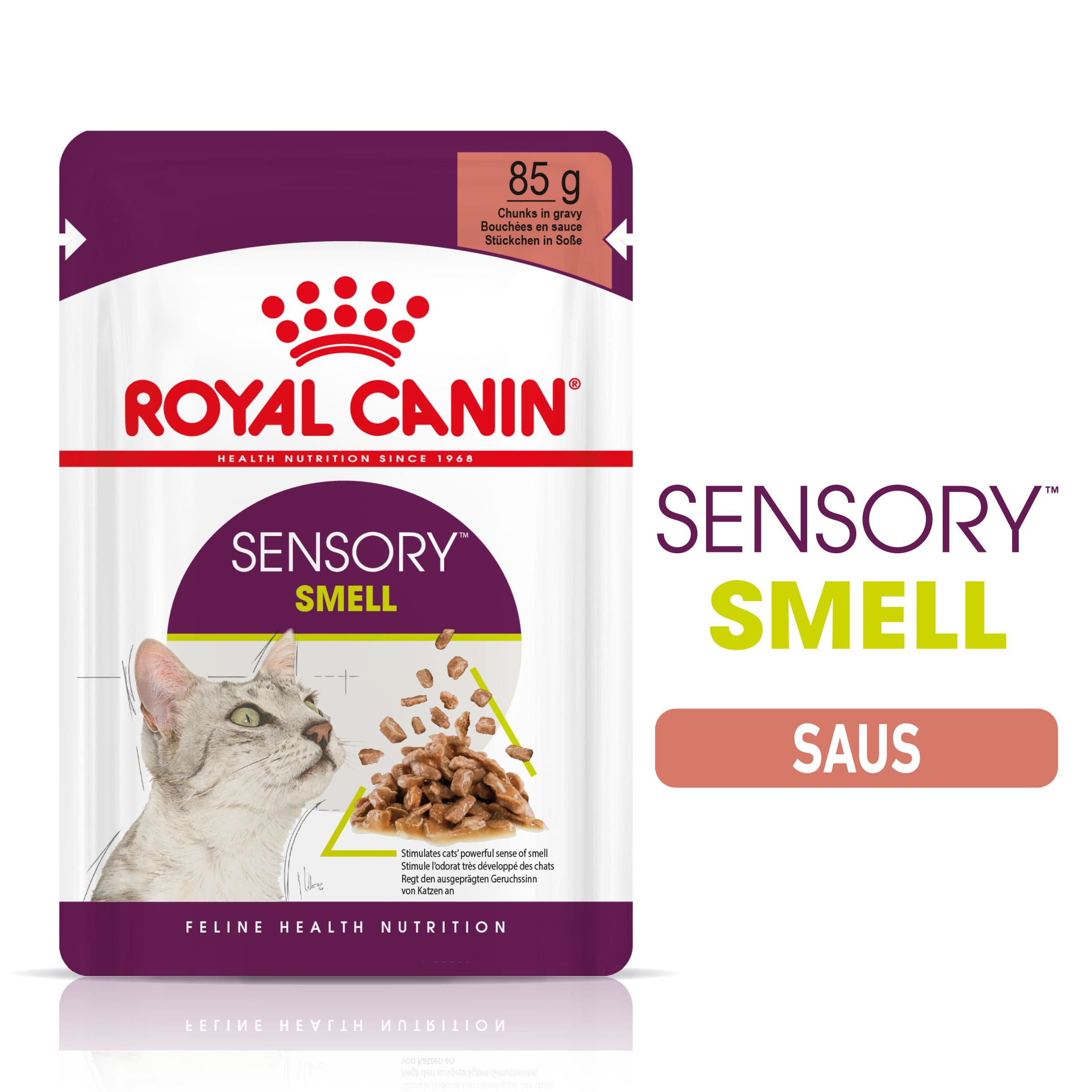 Royal Canin Sensory Smell Gravy Adult