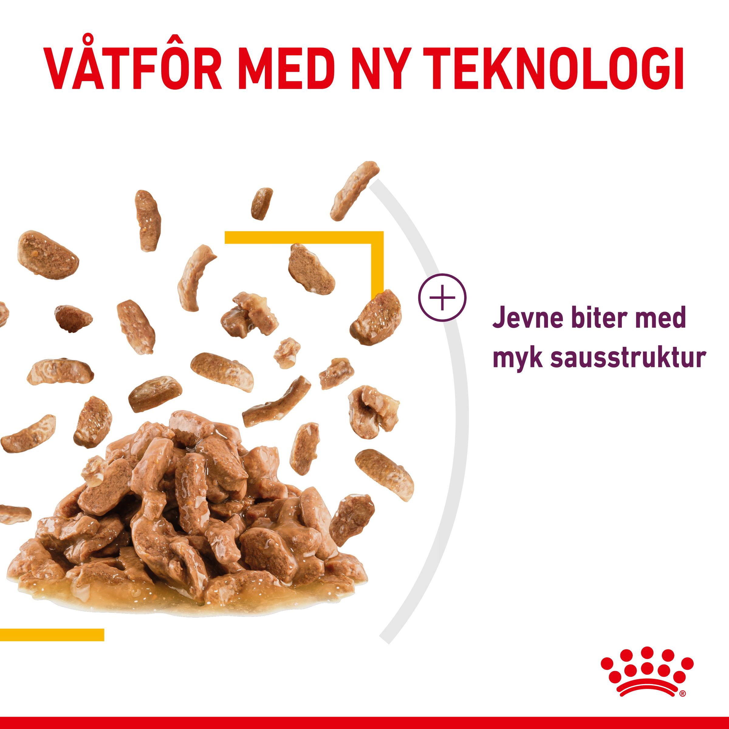 Royal Canin Sensory Taste Gravy Adult