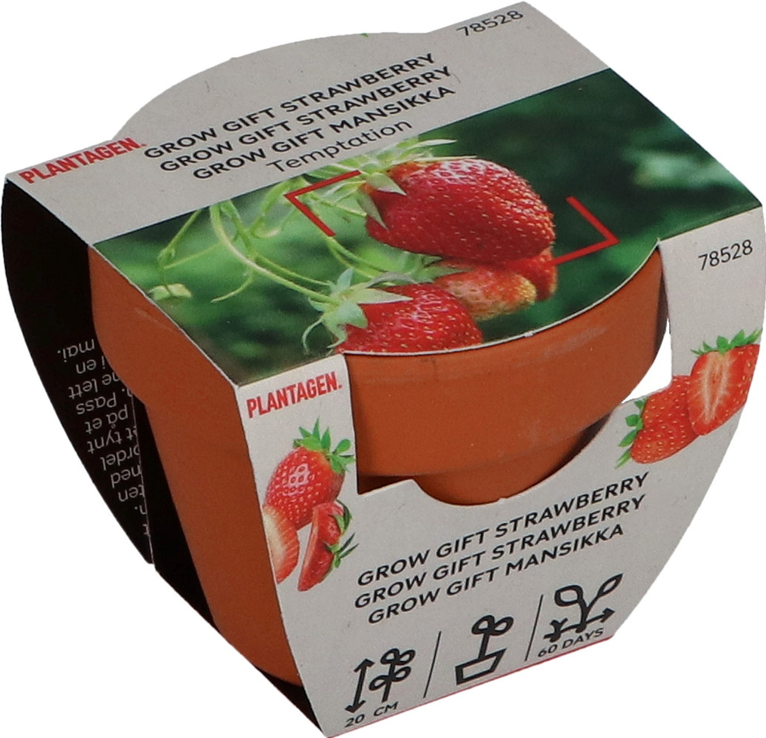 Grow Gifts - Strawberry
