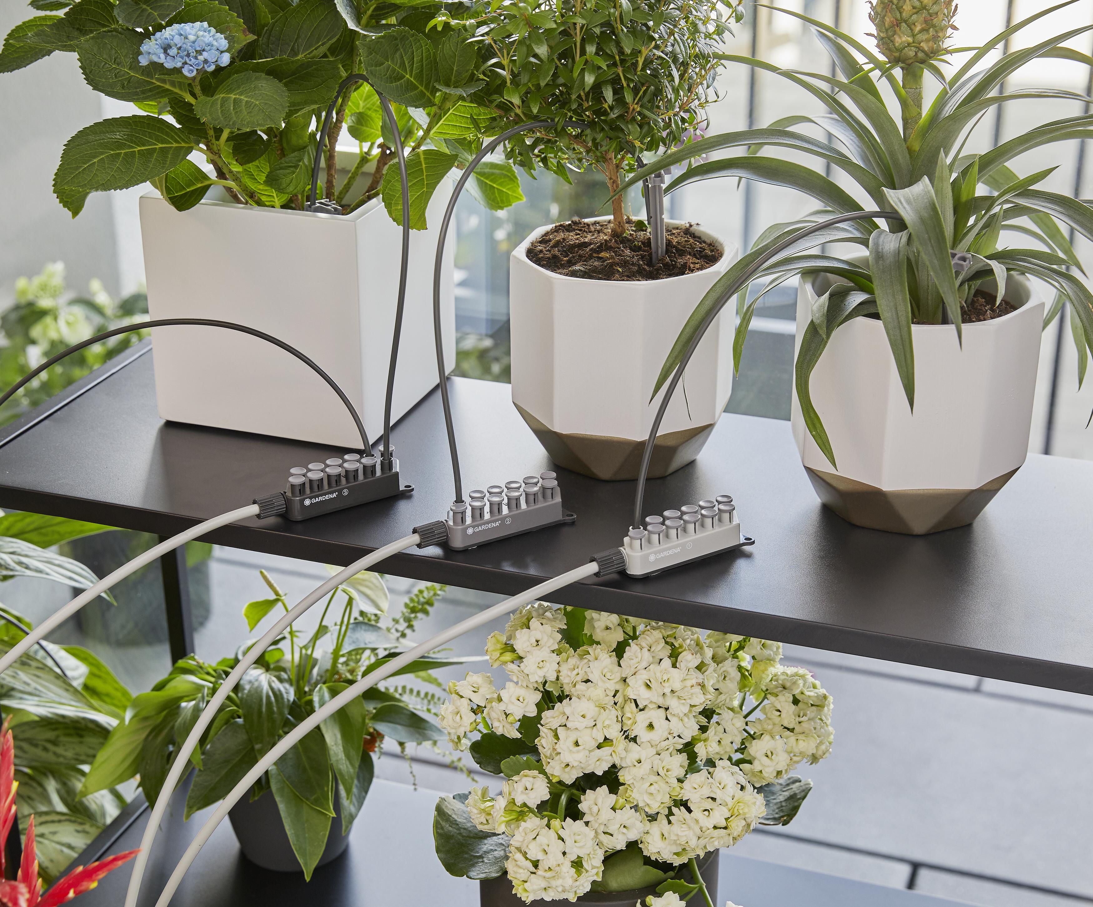 Ferievanning med vannbeholder