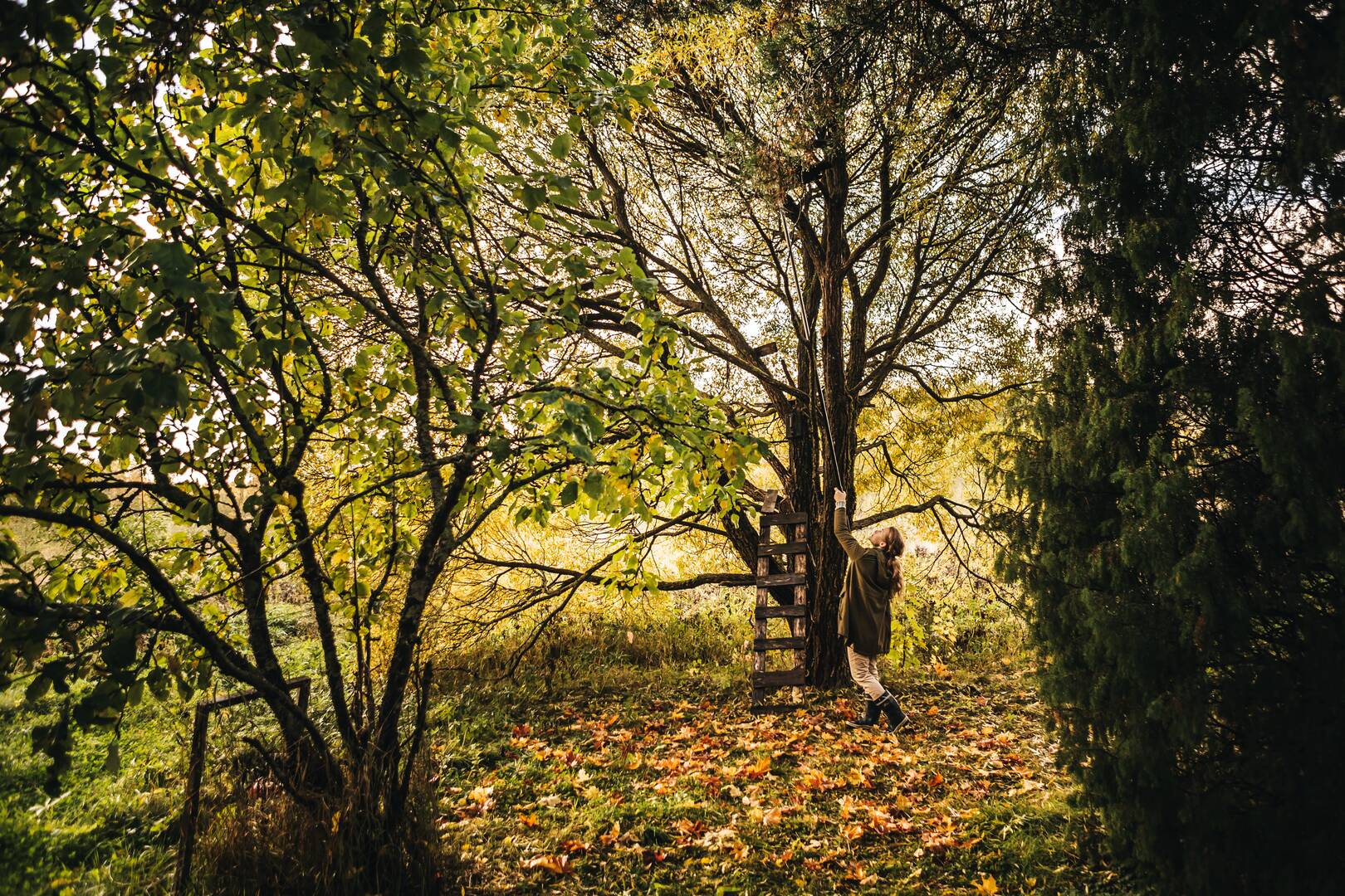 Multikutter PowerGearX UPX86