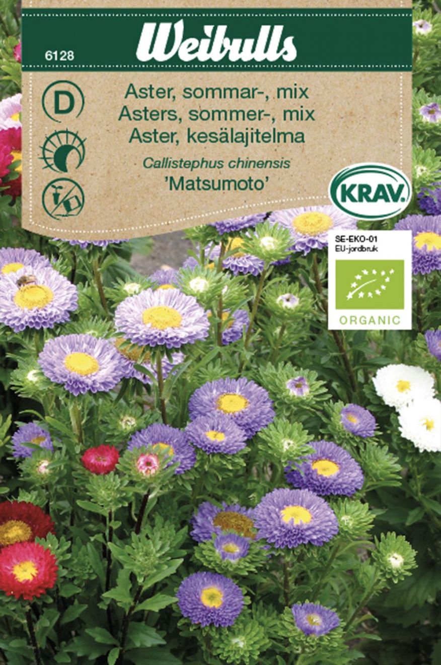Aster Sommarmix KRAV