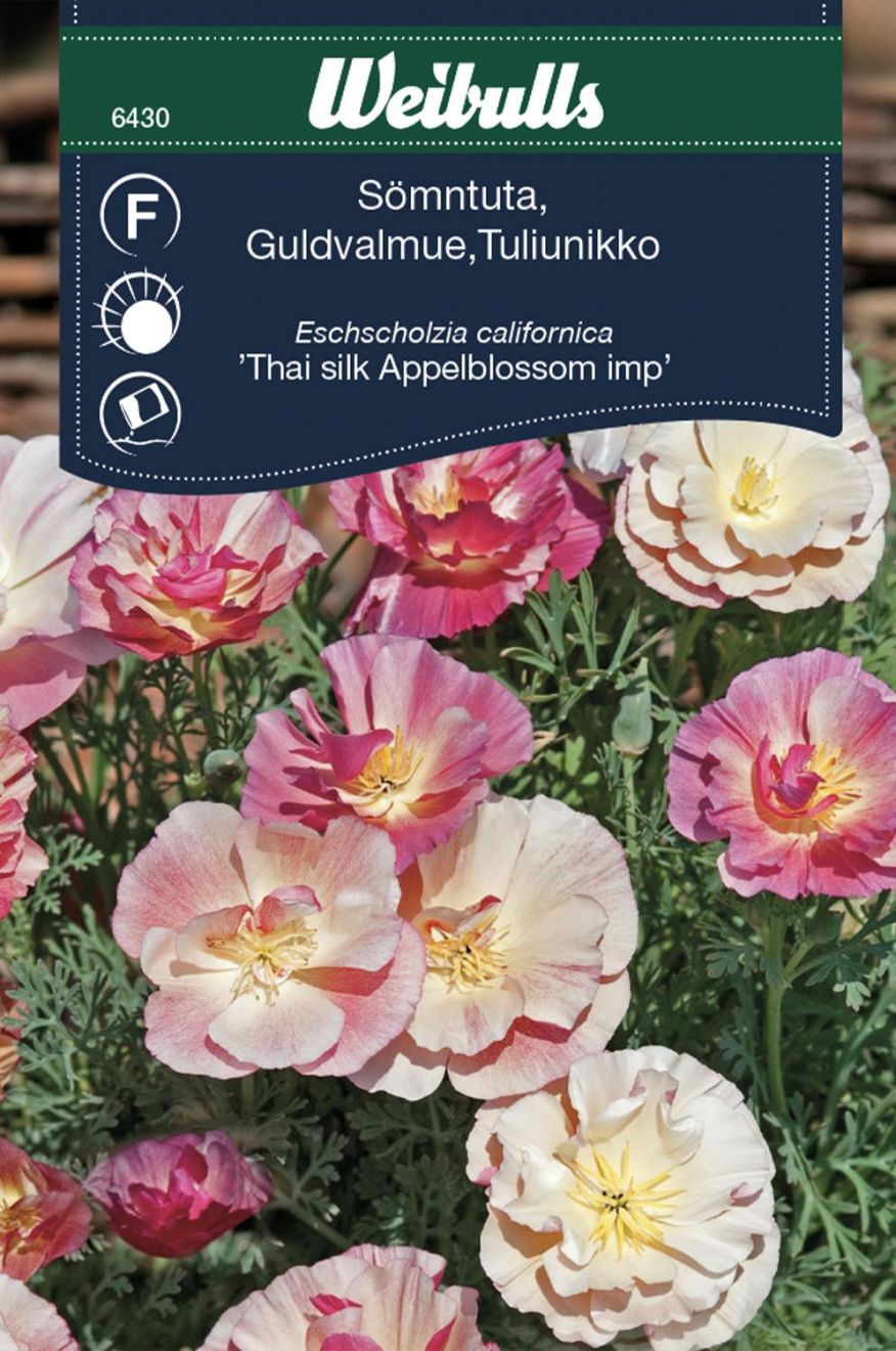 Sömntuta 'Appleblossom'