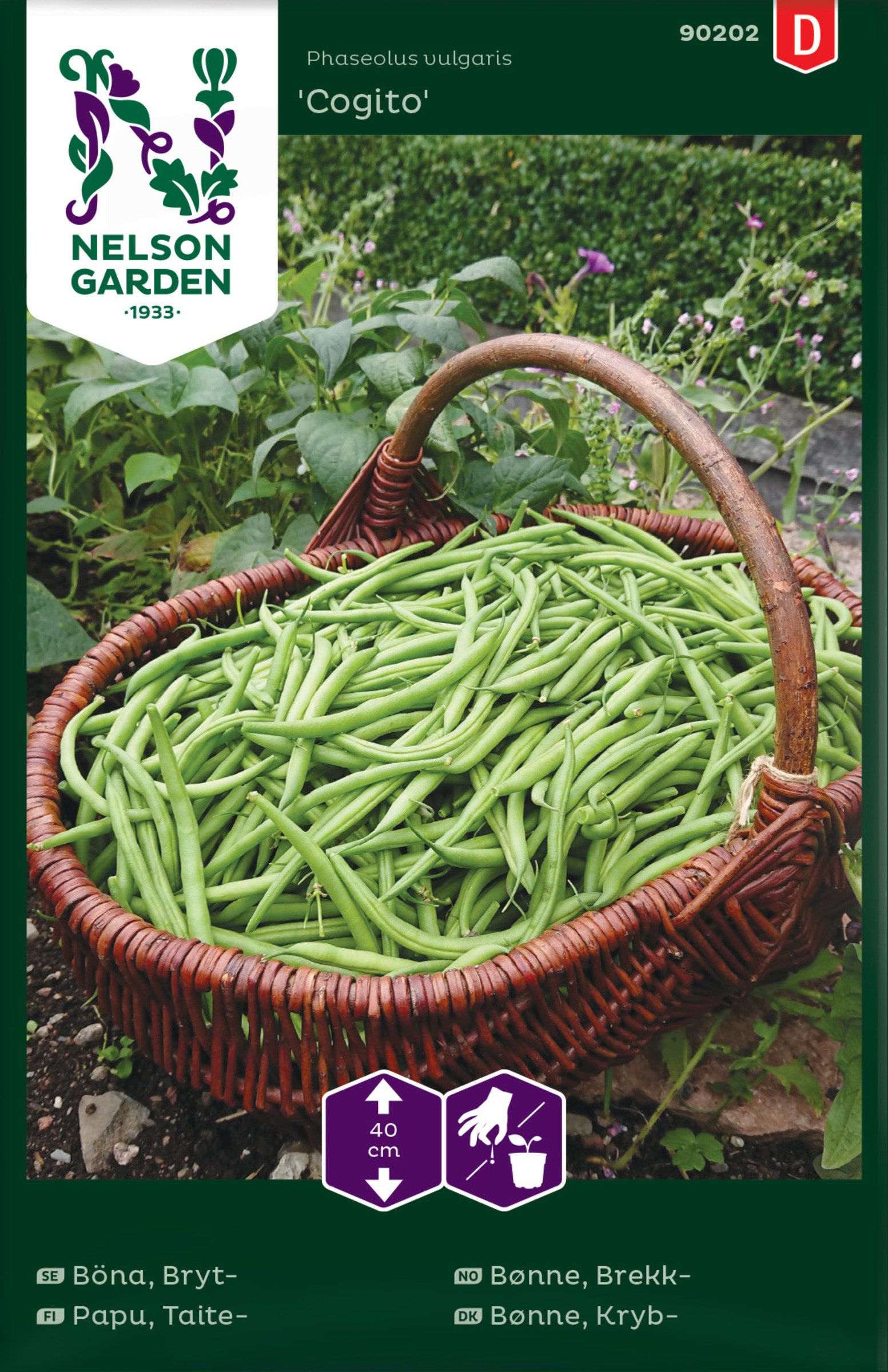 Böna, Bryt-, Cogito