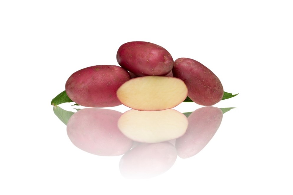 Potato Evolution 1Kg