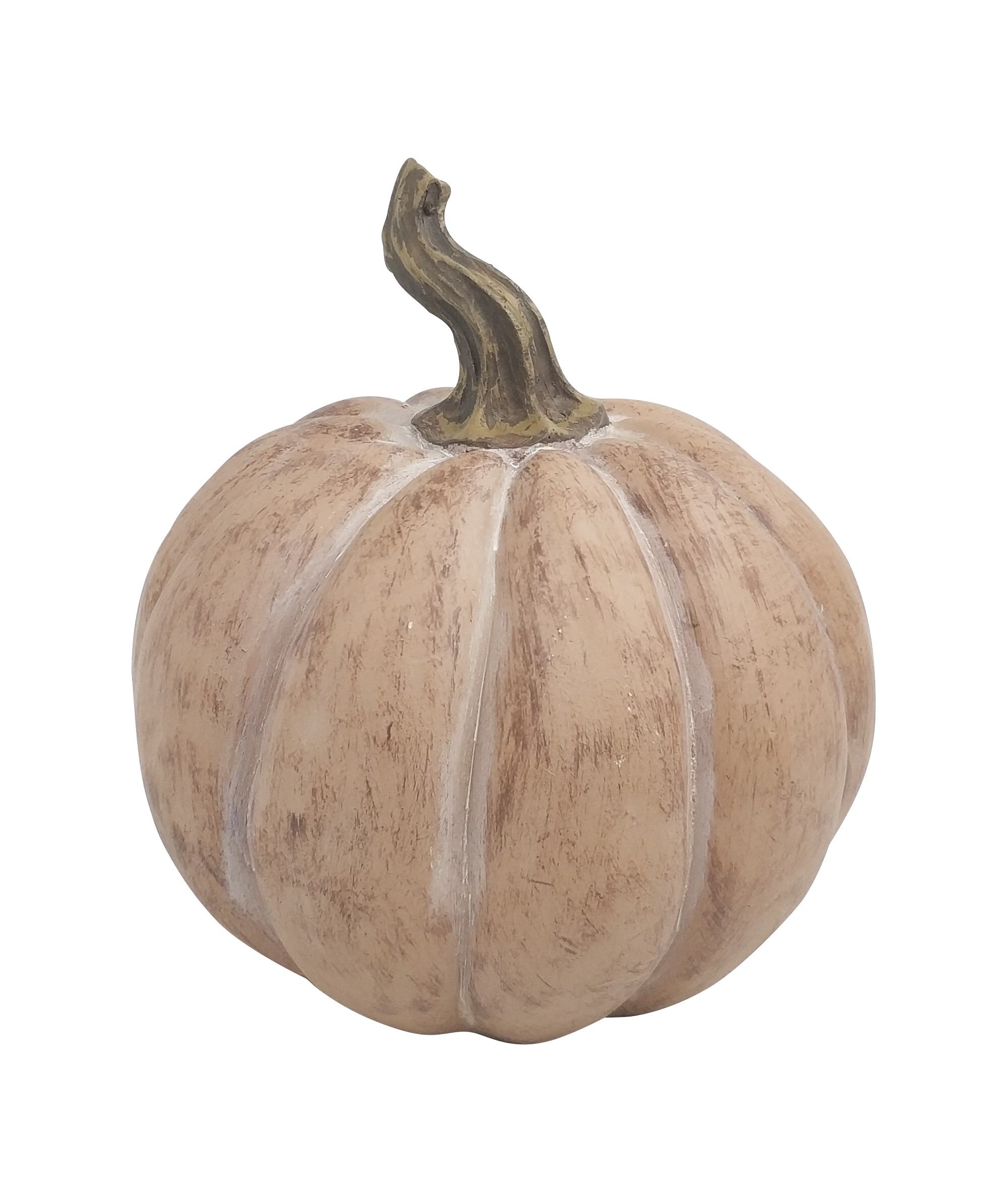 Pumpis pumpkin D14 orange