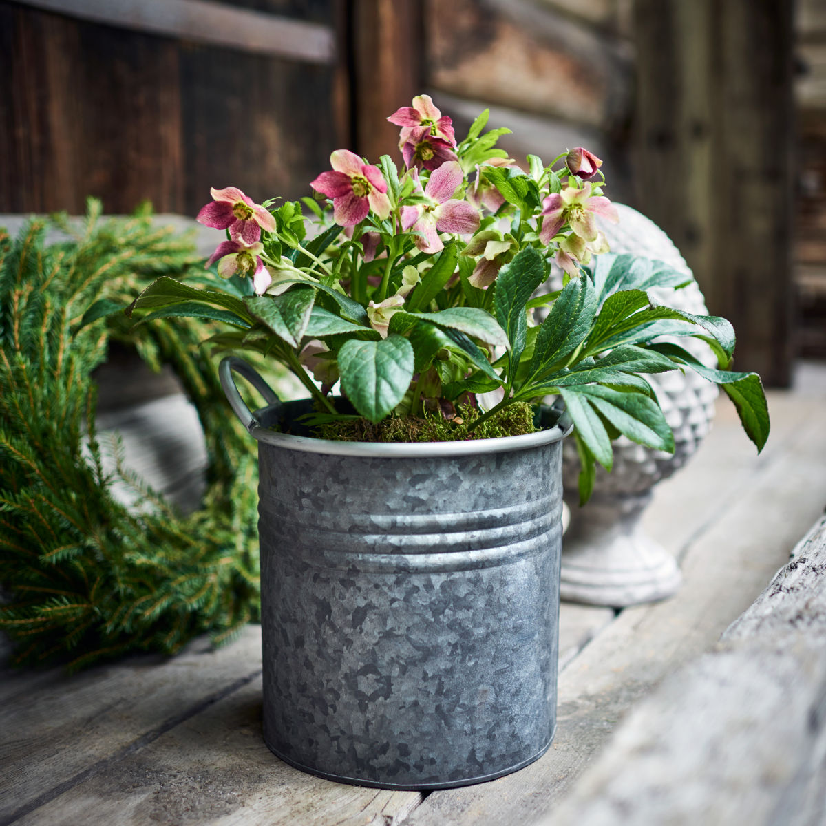 Aidan pot D19 grey
