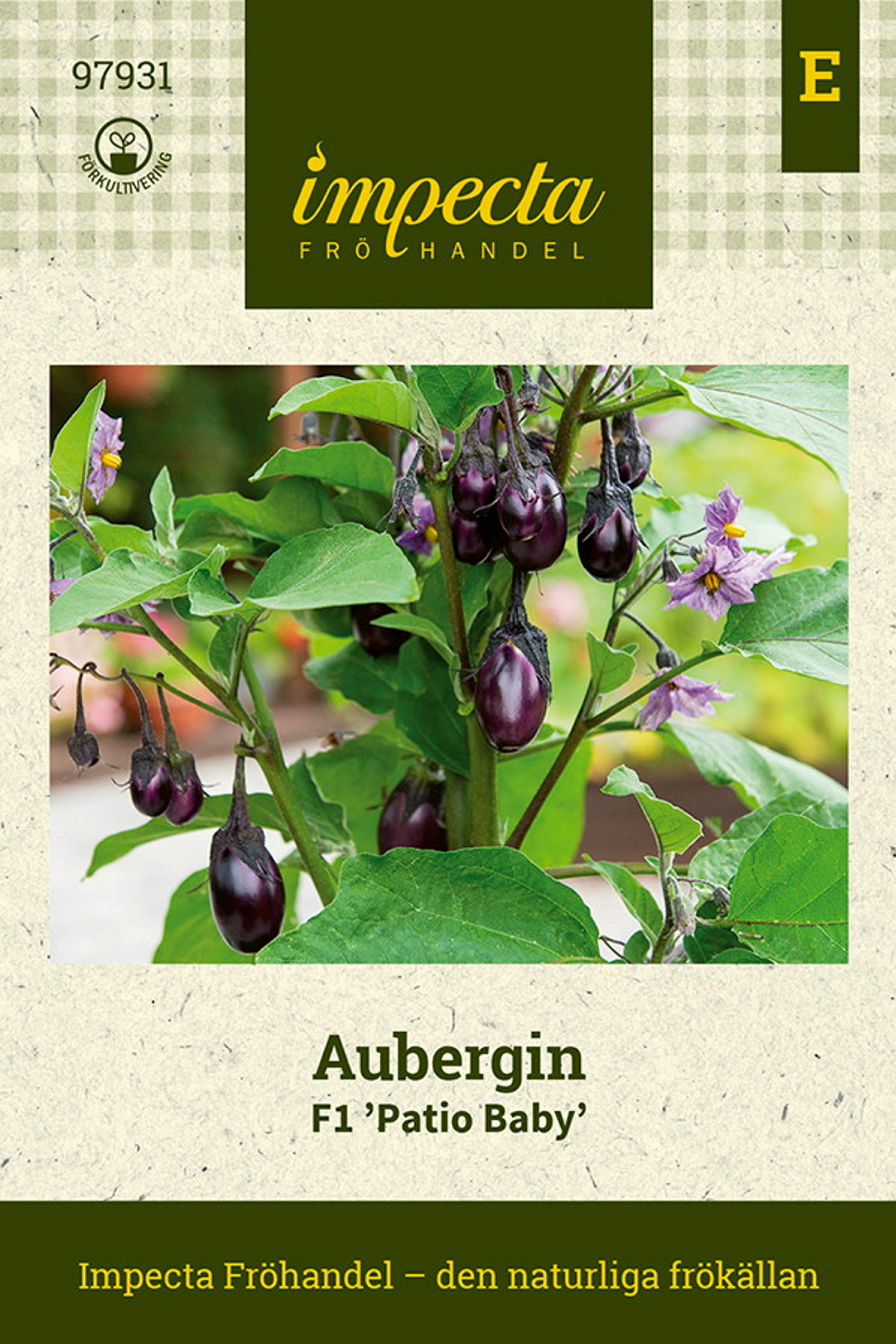 Aubergin F1 'Patio Baby'