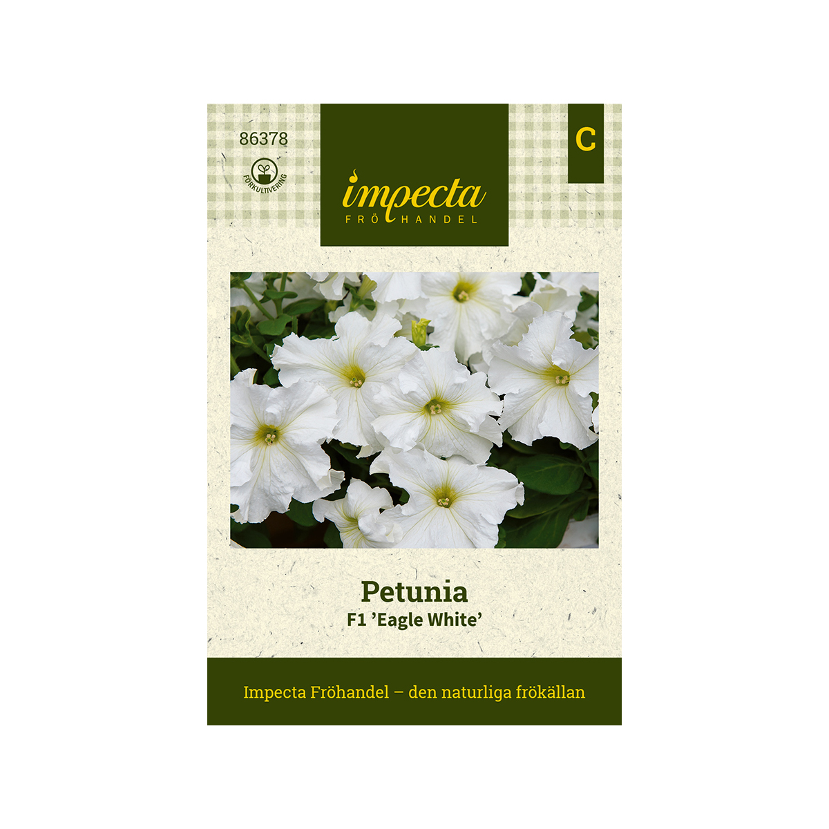 Petunia F1 'Eagle White'