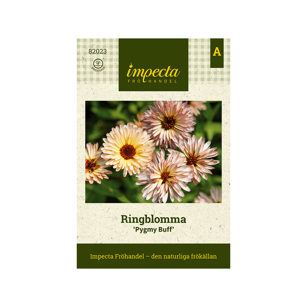 Ringblomma 'Pygmy Buff'