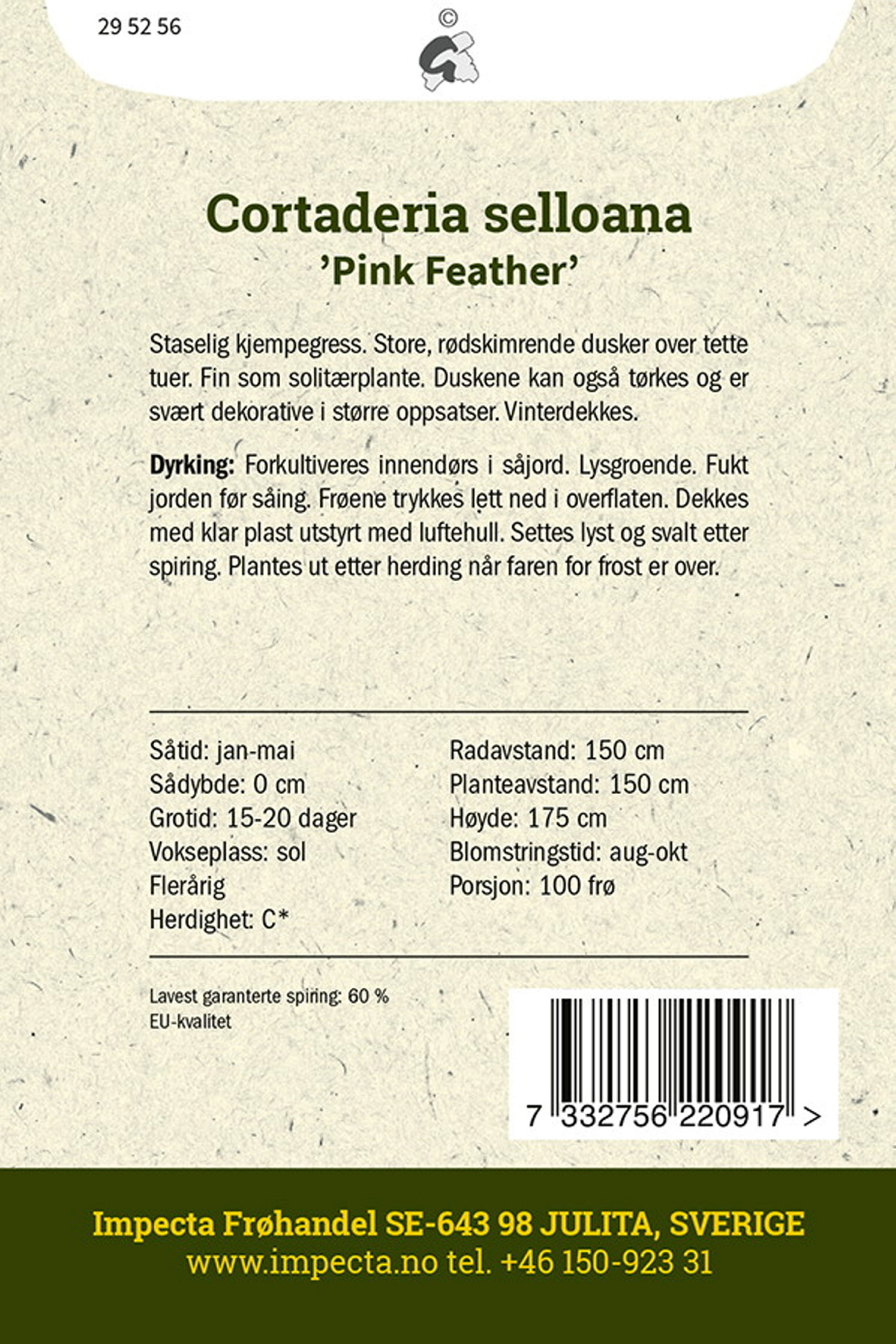 Rødt pampasgress 'Pink Feather'