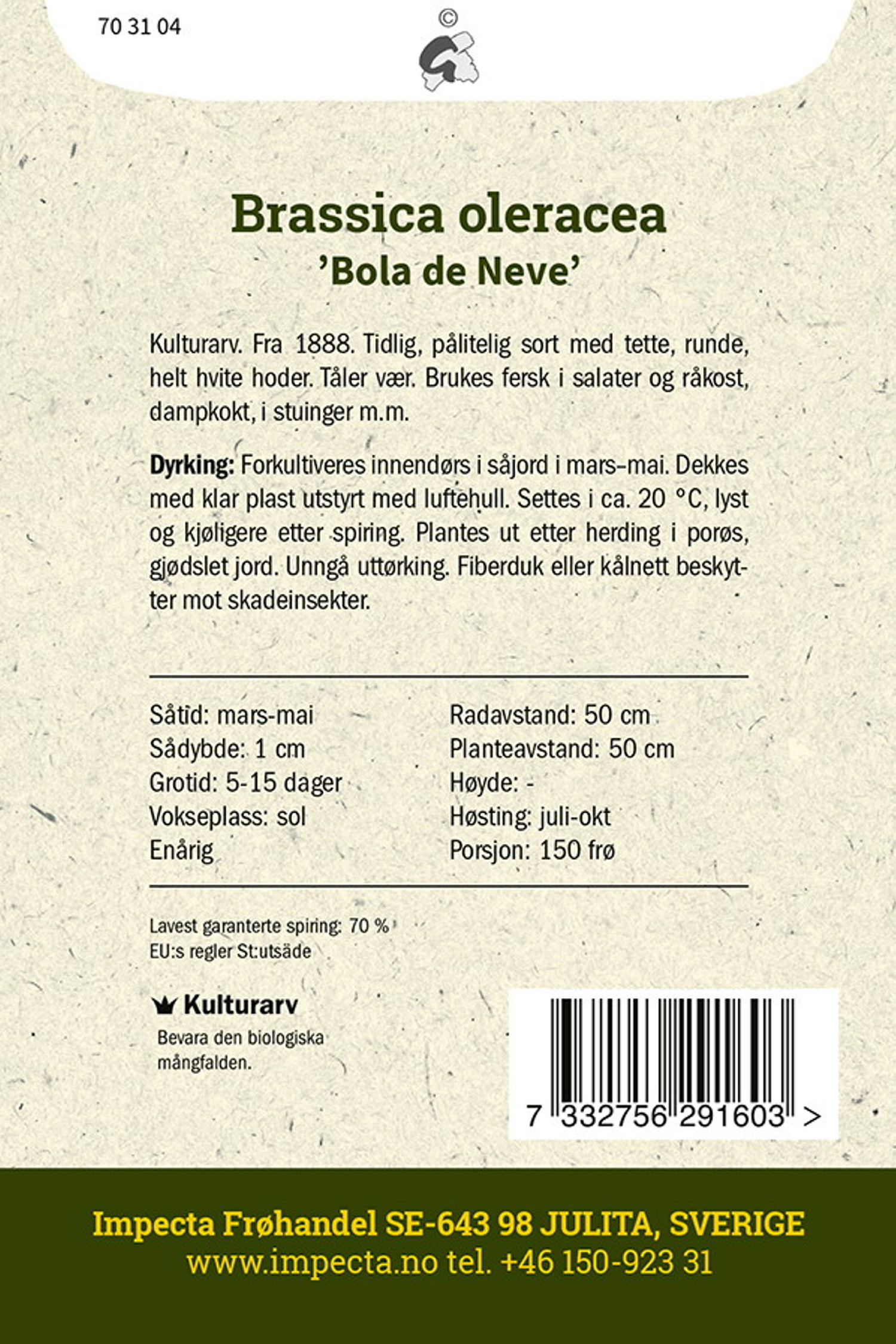 Brassica oleracea 'Bola de Neve'