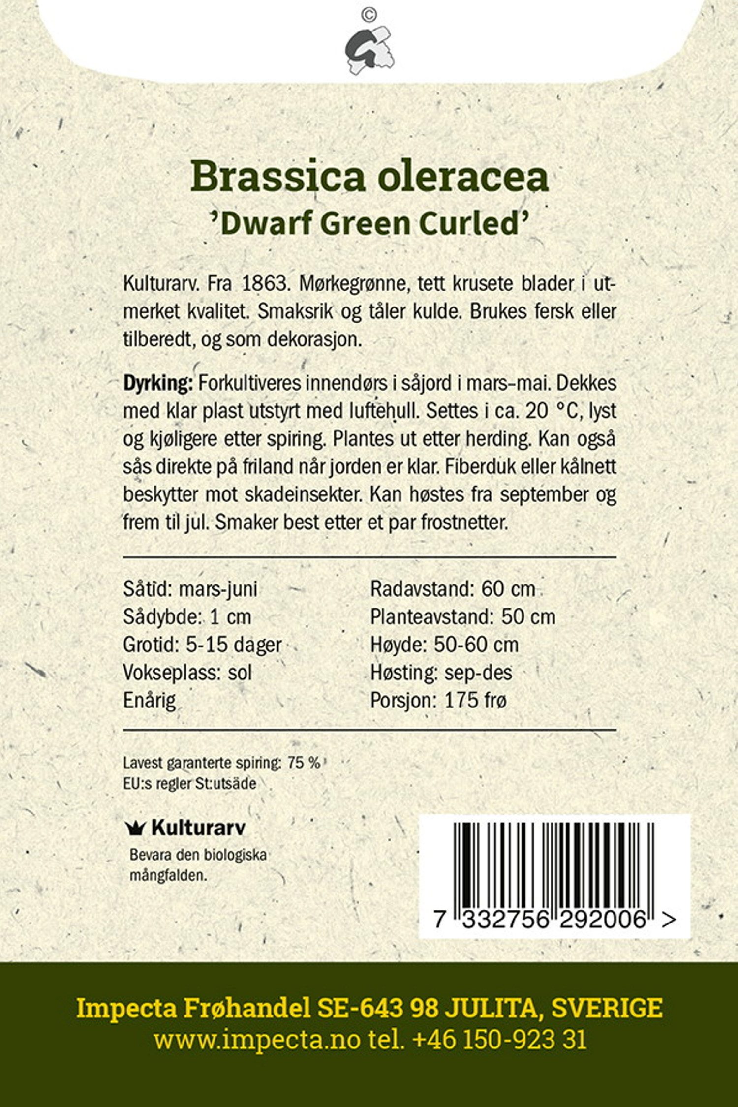 Grönkål 'Dwarf Green Curled'