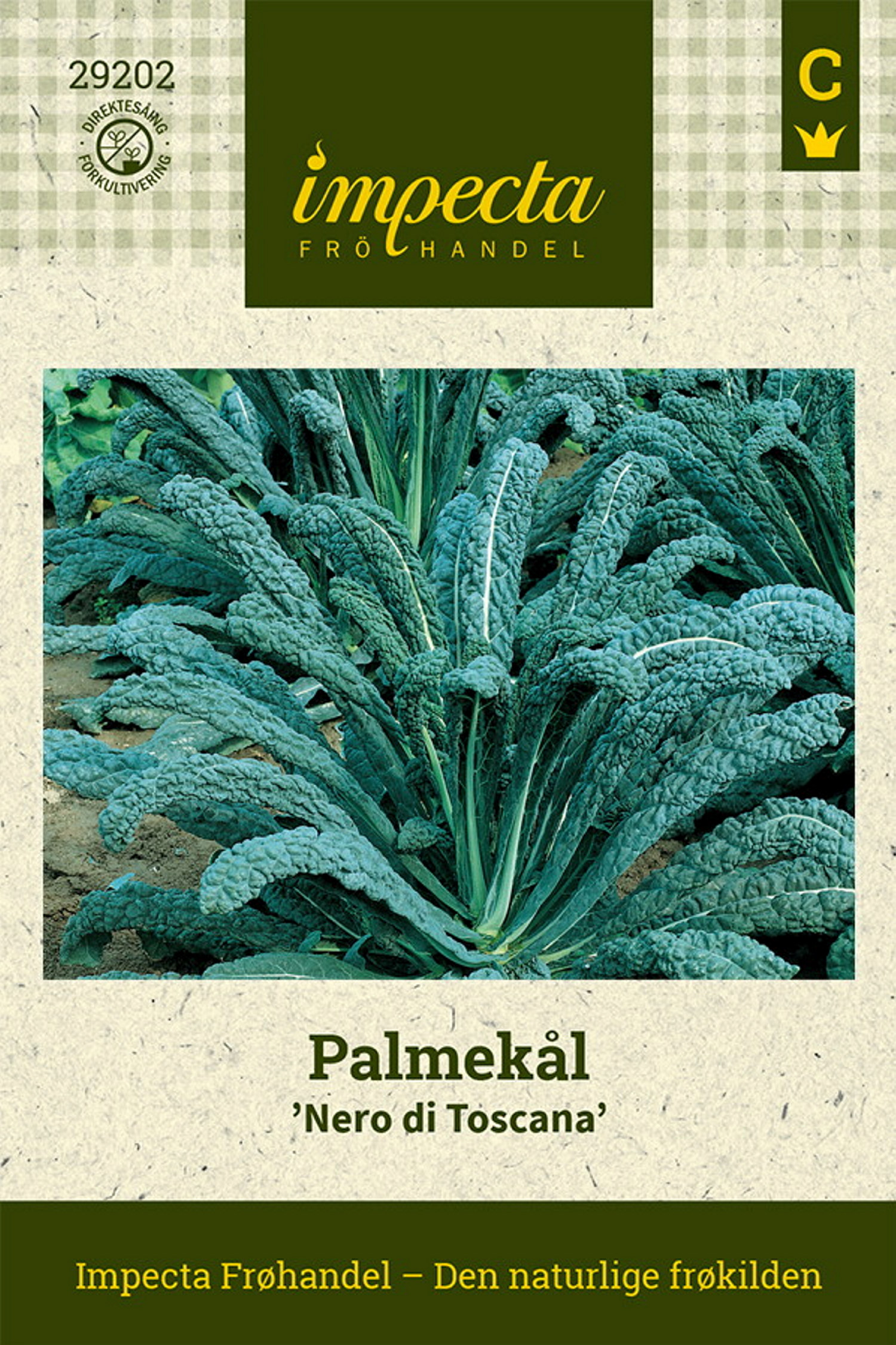 Palmekål 'Nero di Toscana'