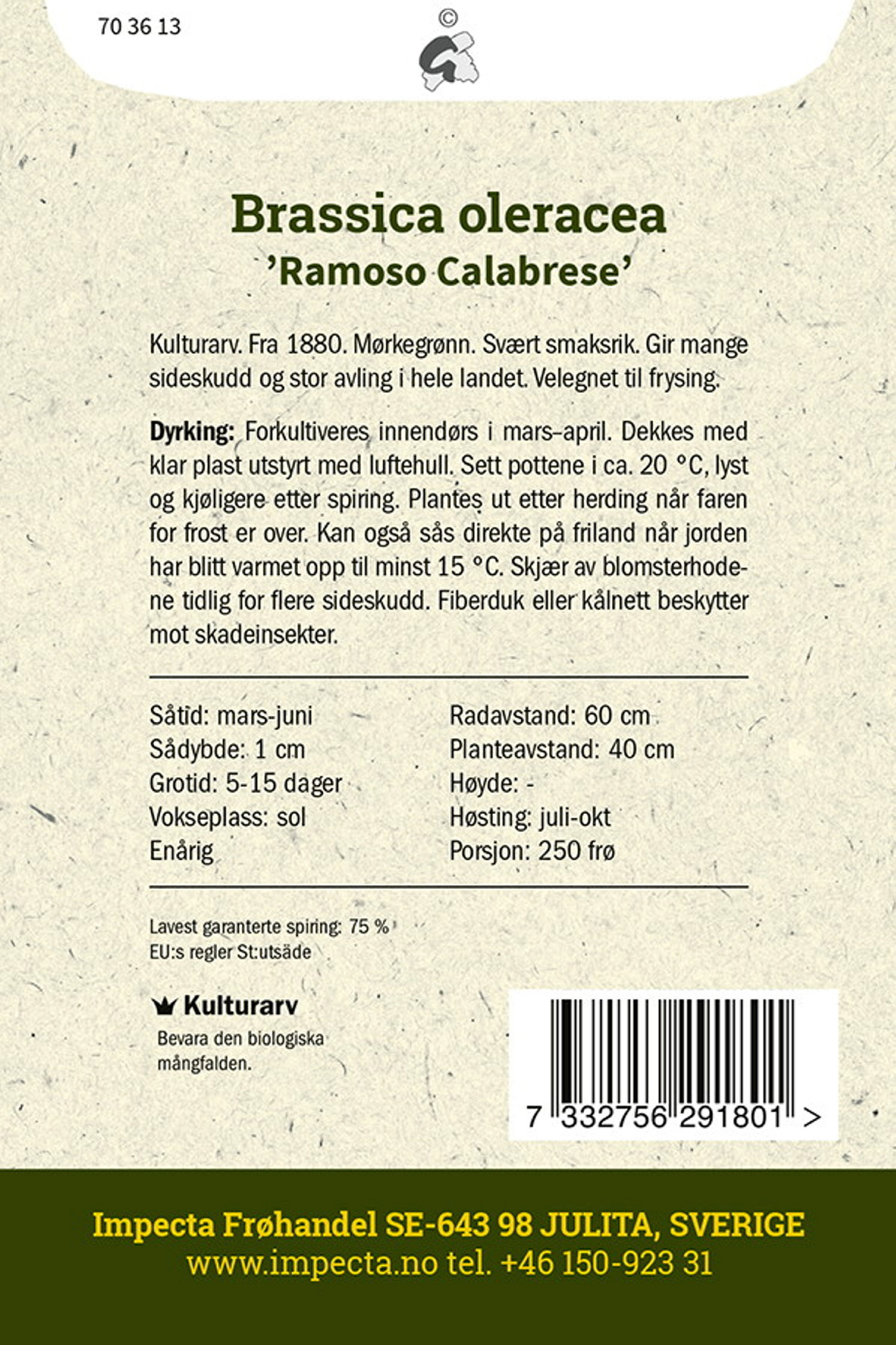 Broccoli 'Ramoso Calabrese'