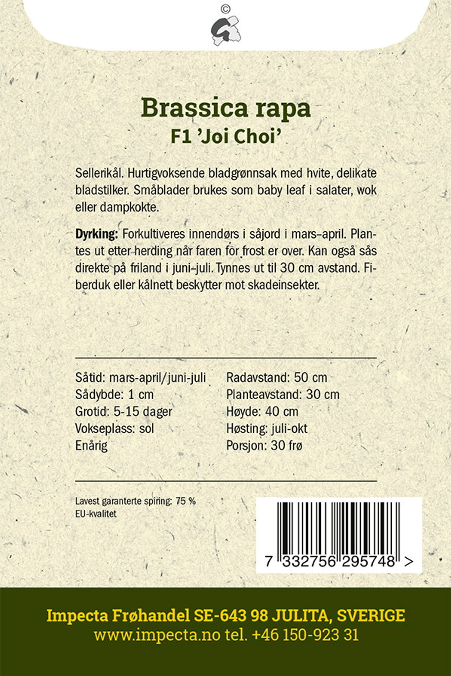 Brassica rapa F1 'Joi Choi'