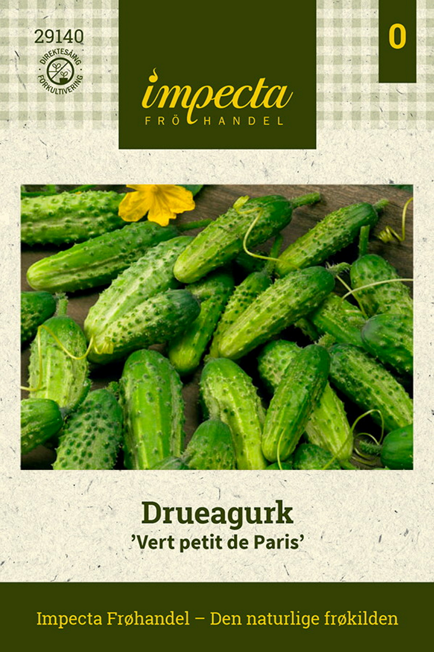 Cucumis sativus 'Vert petit de Paris'