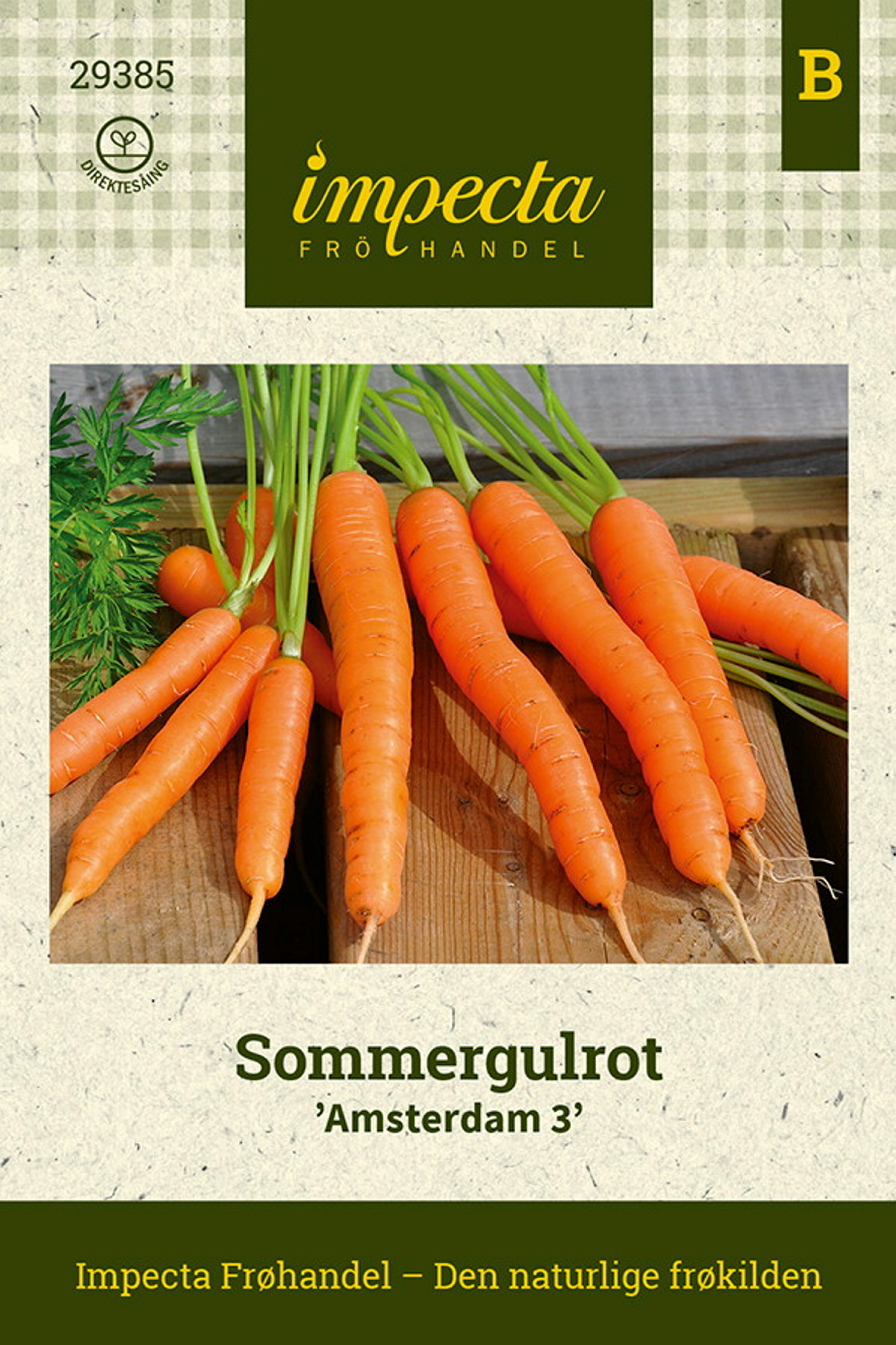 Sommergulrot 'Amsterdam 3'