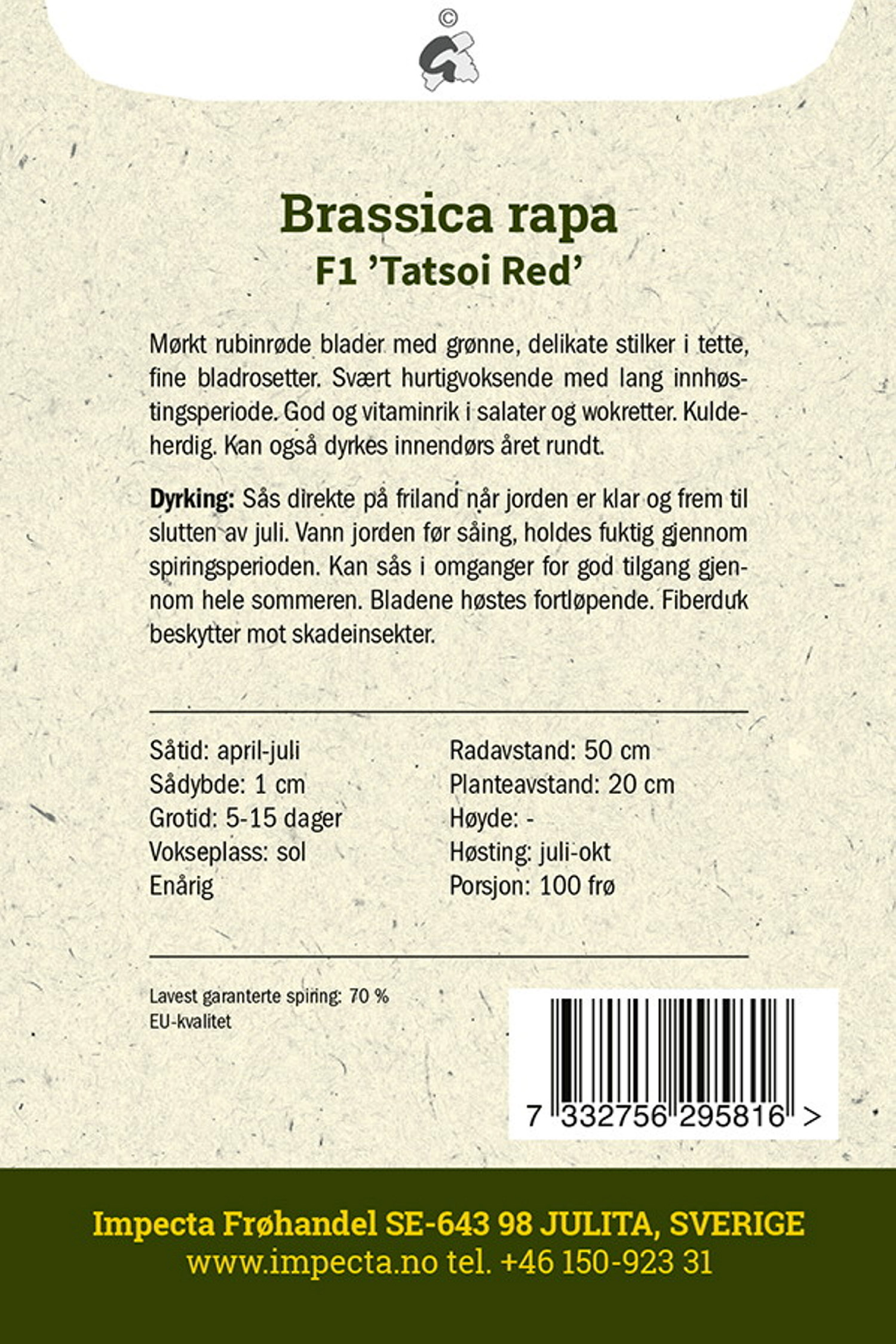 Tatsoi F1 'Tatsoi Red'