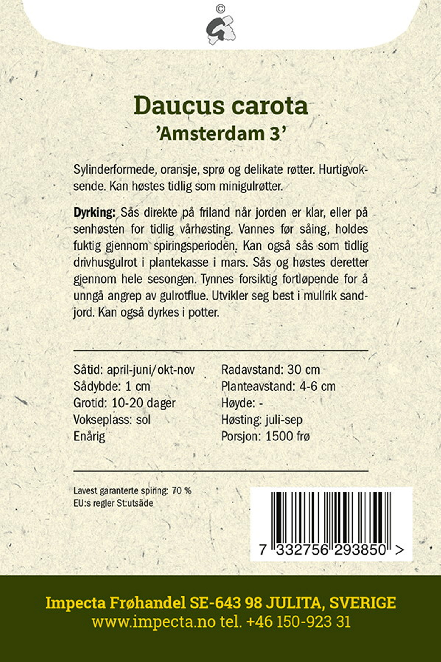 Sommergulrot 'Amsterdam 3'
