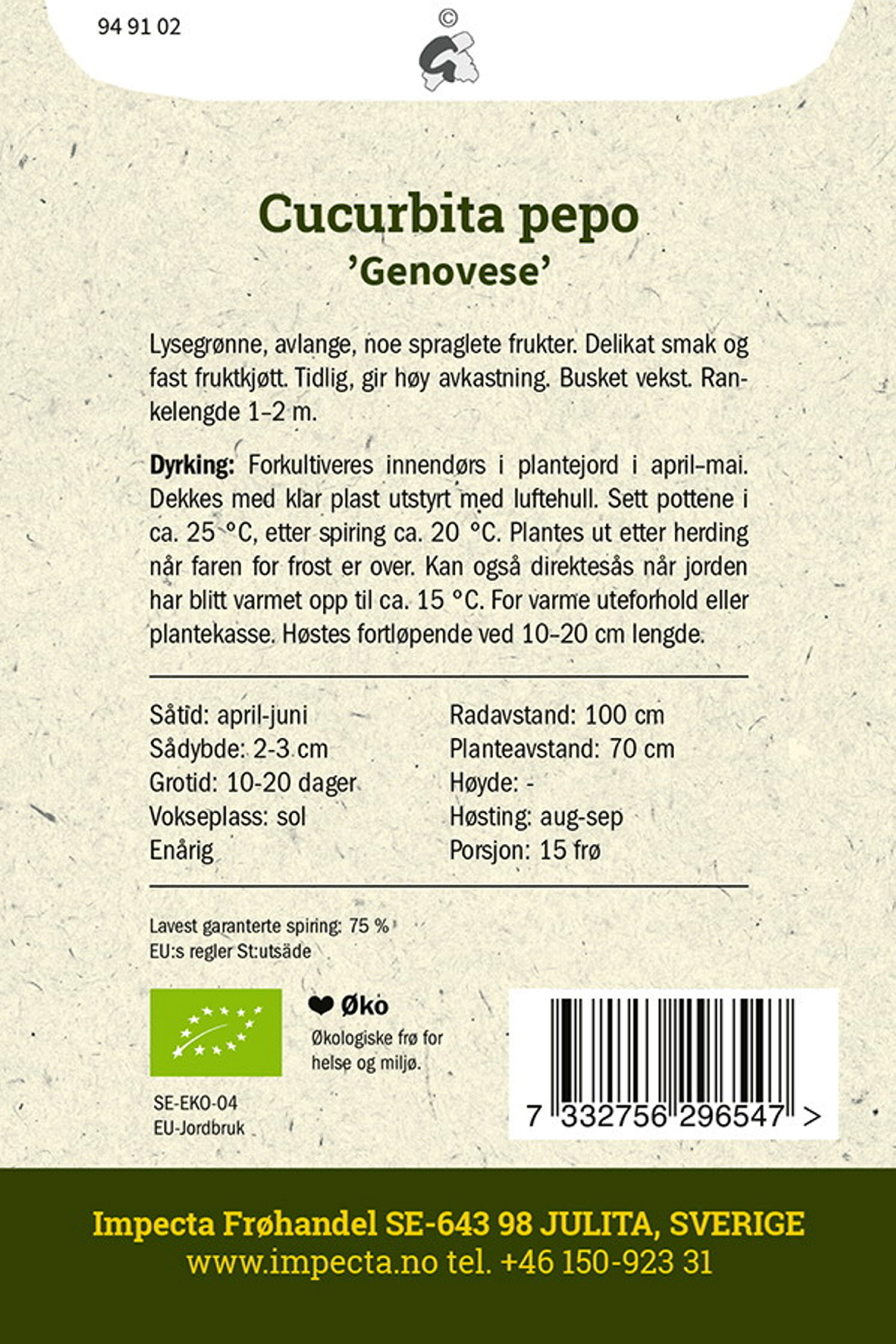 Cucurbita pepo 'Genovese'