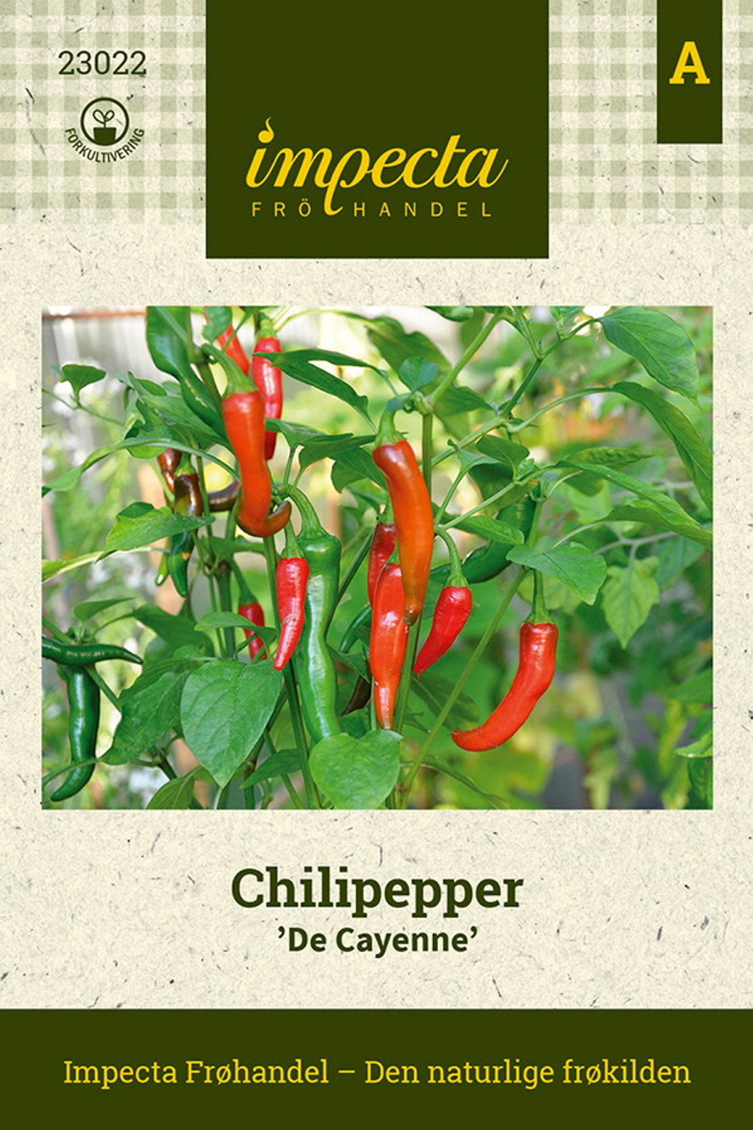 Capsicum annuum 'De Cayenne'